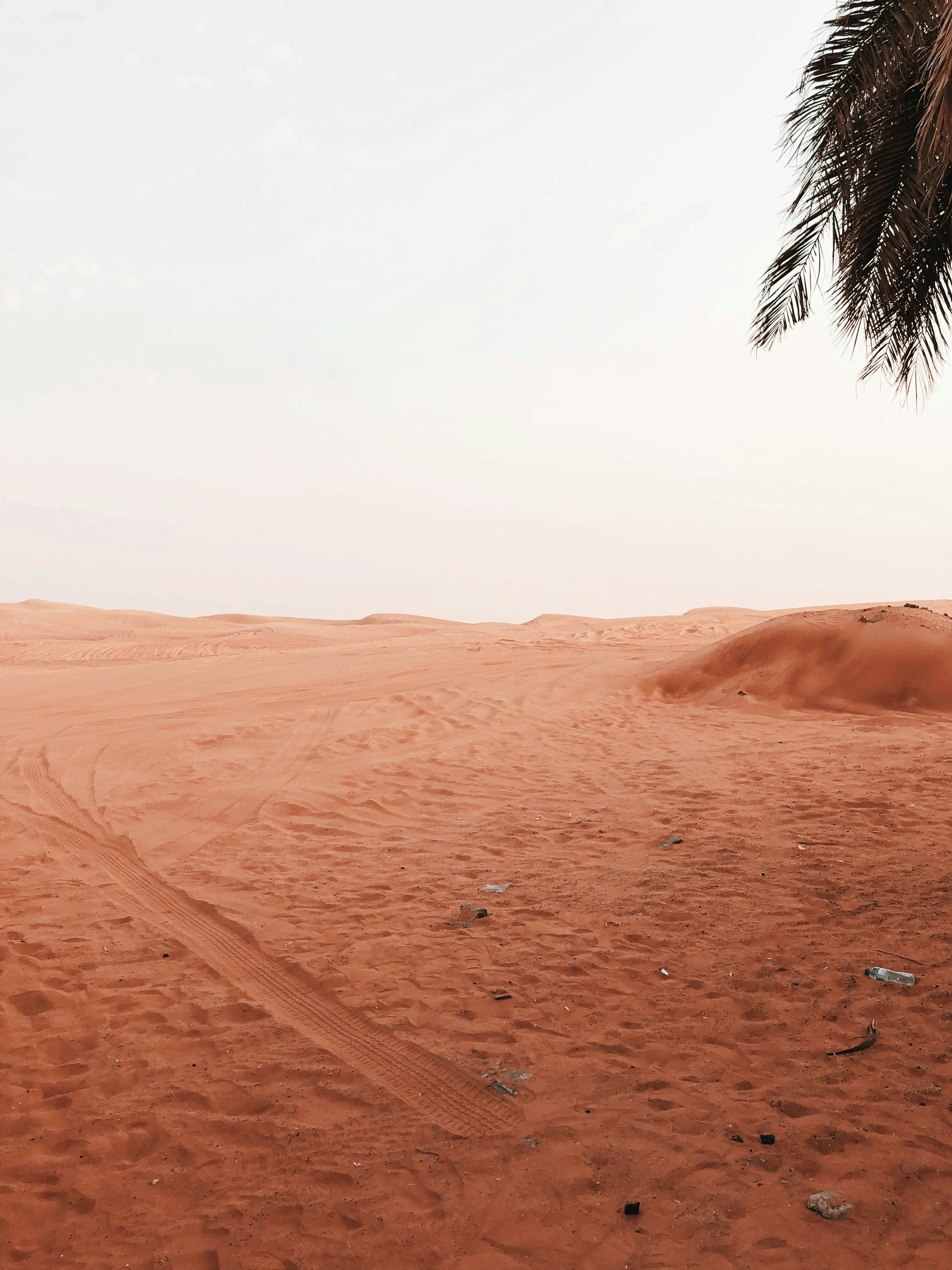 Photo by darylbydesign