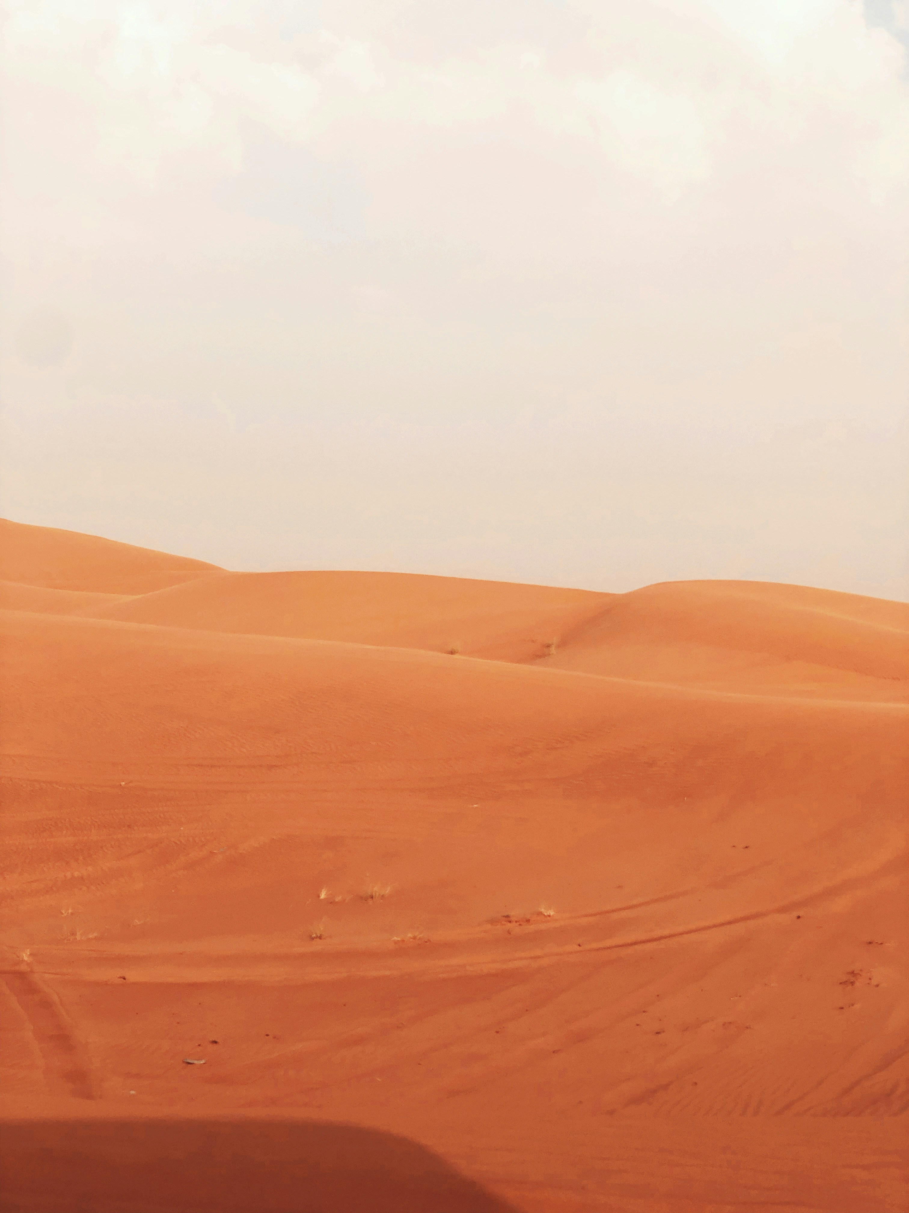 Photo by darylbydesign