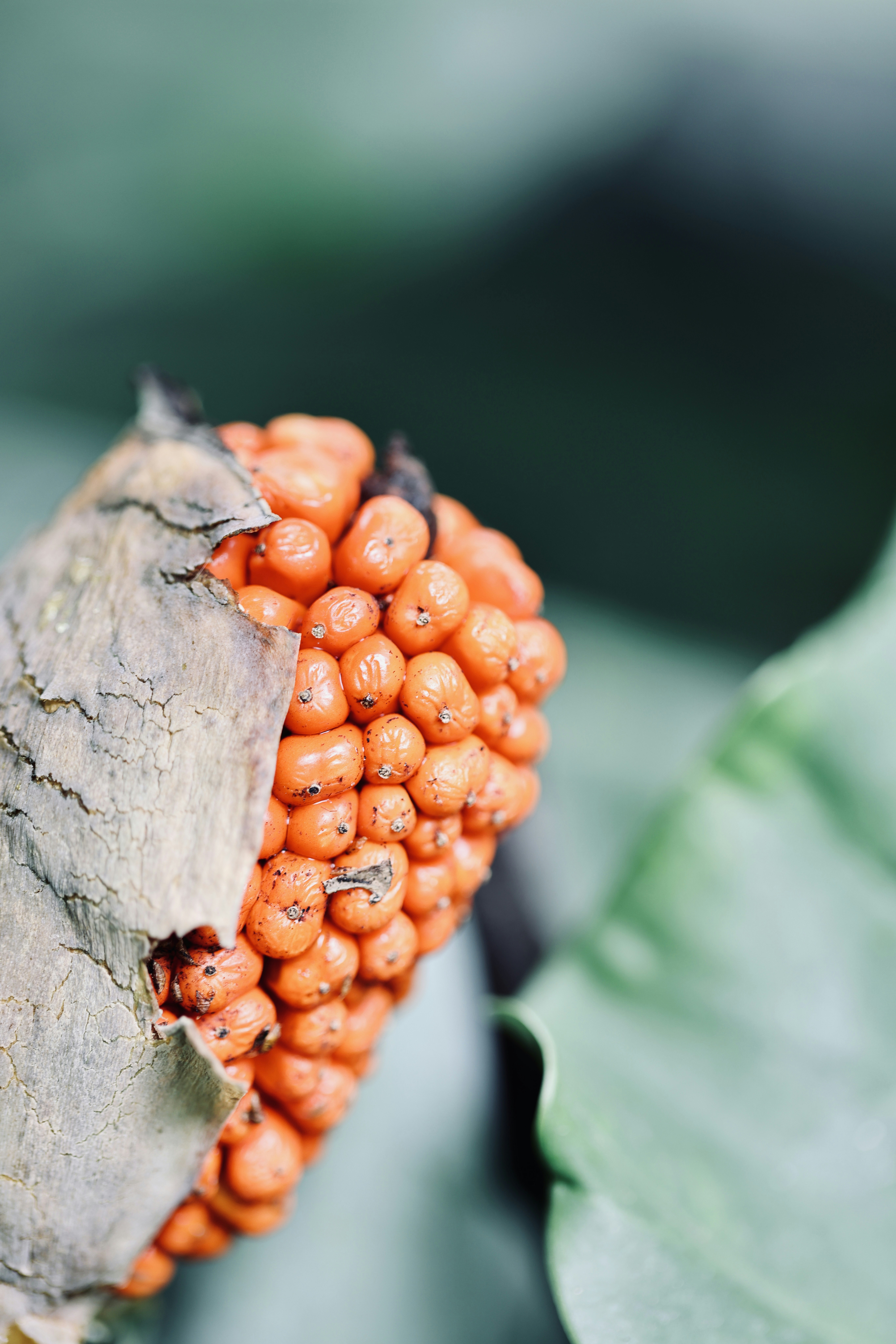 Photo by dickenslin76