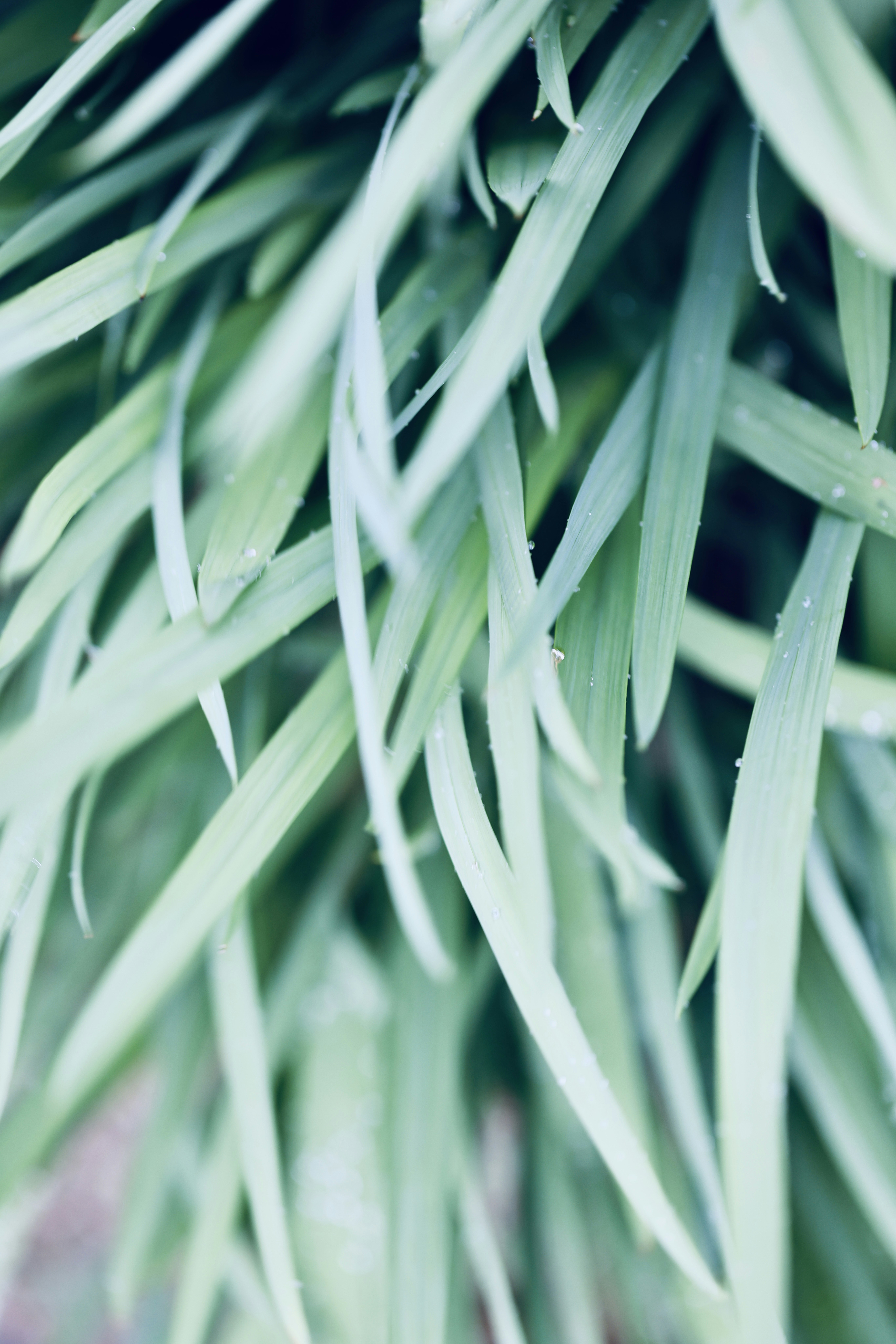 Photo by dickenslin76