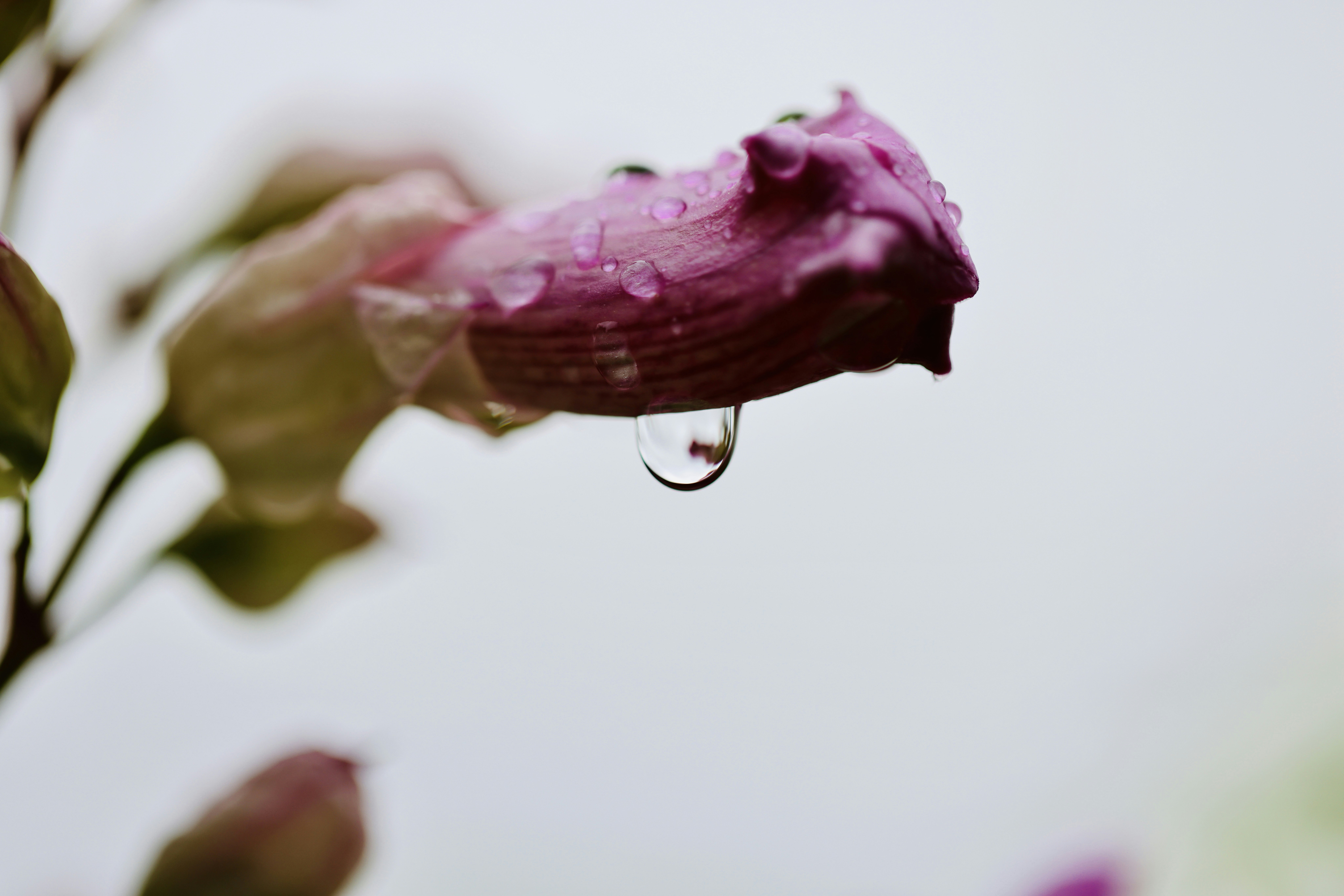 Photo by dickenslin76