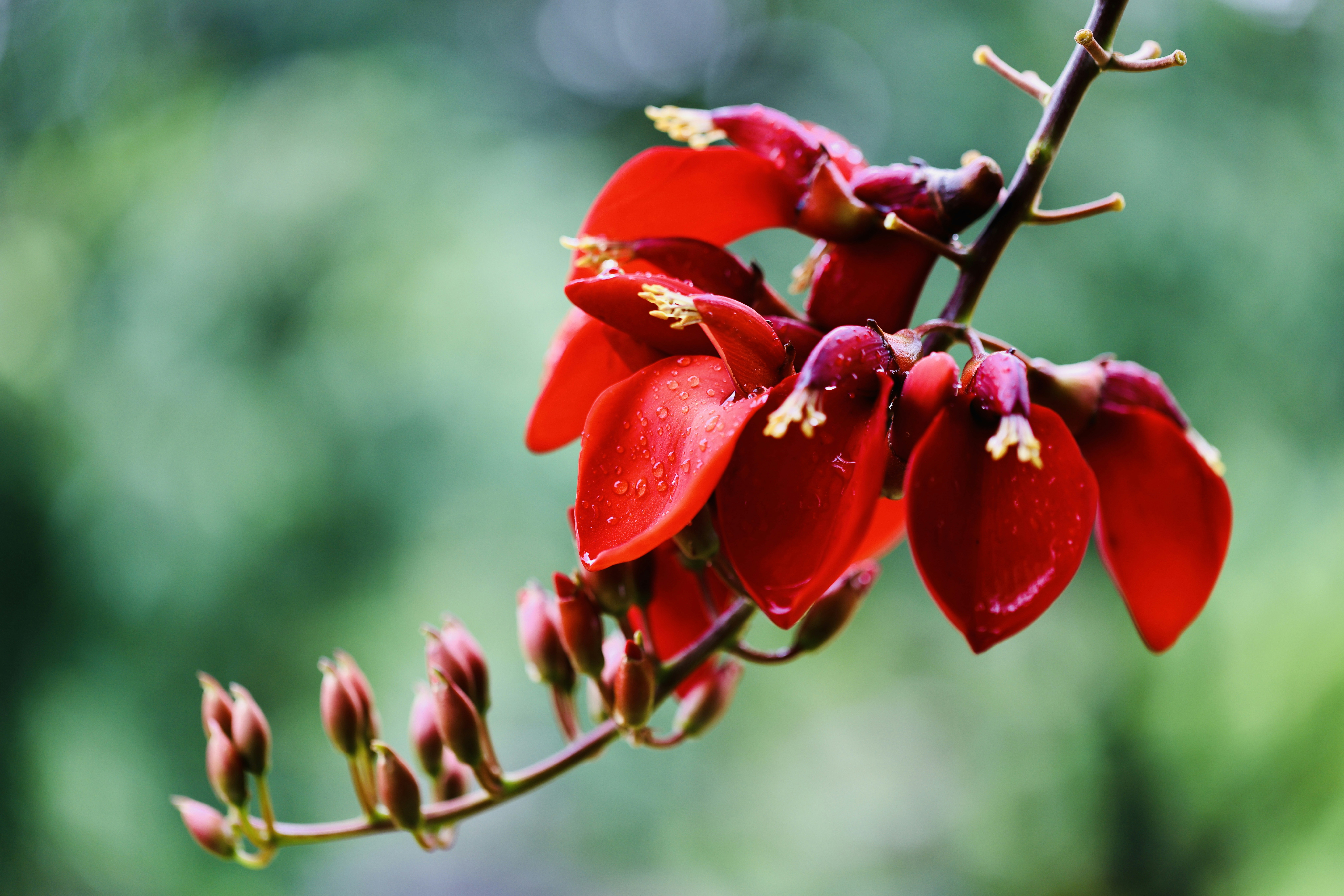 Photo by dickenslin76