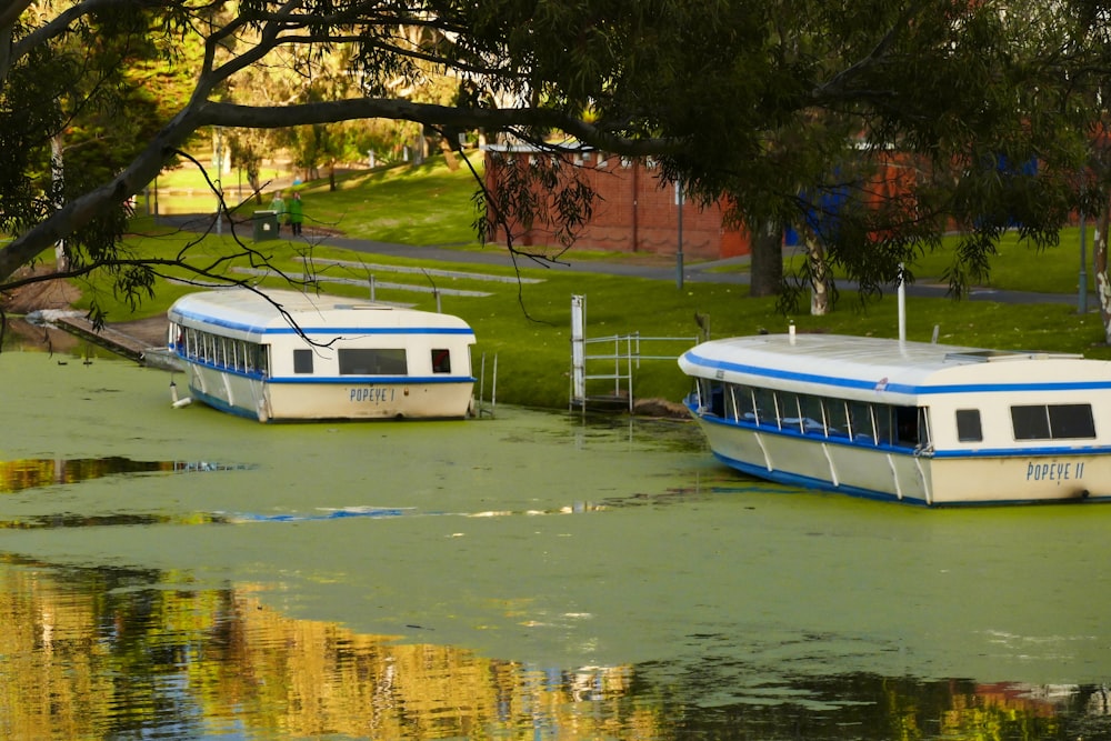 boats on the water