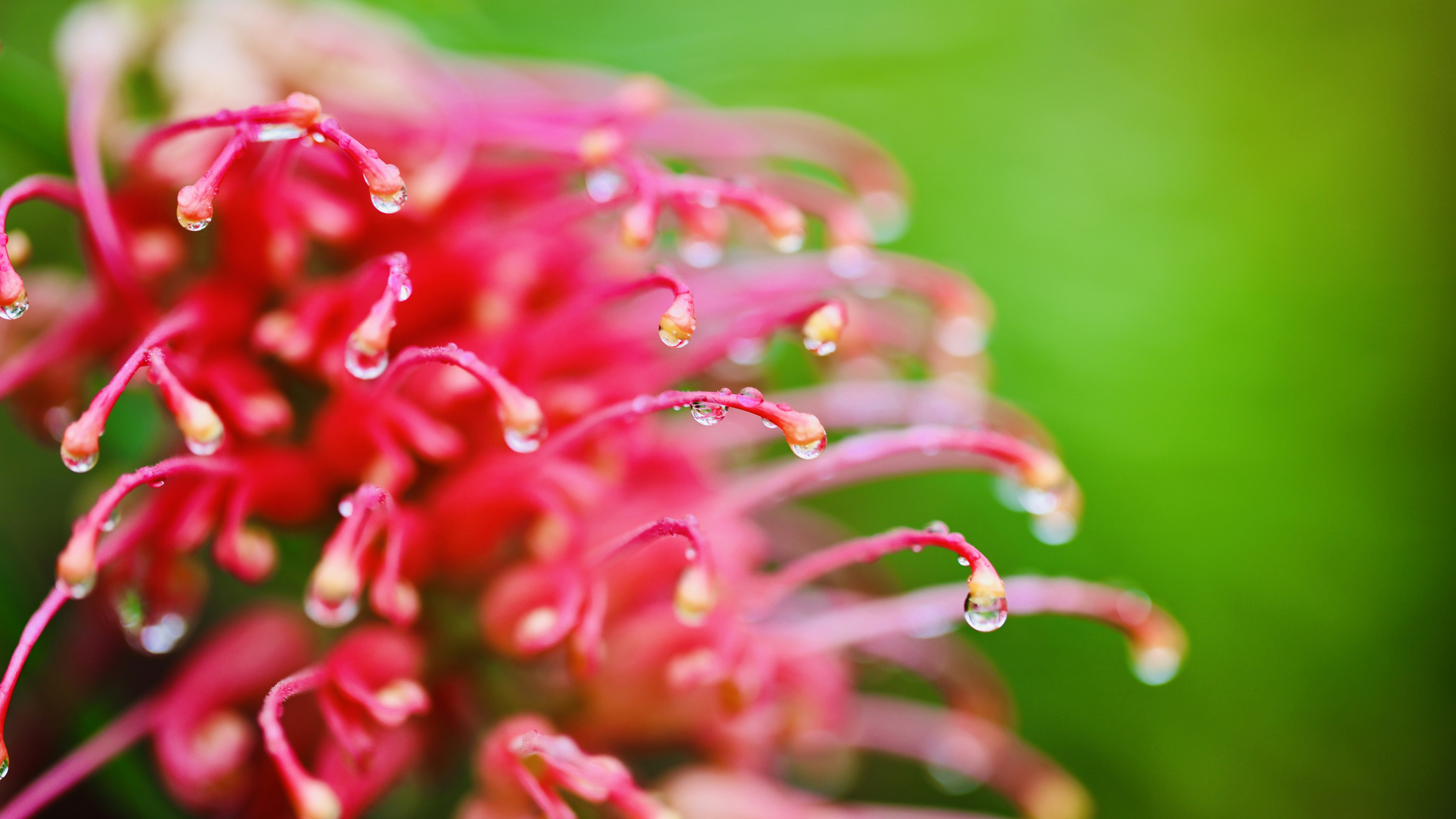 Photo by dickenslin76