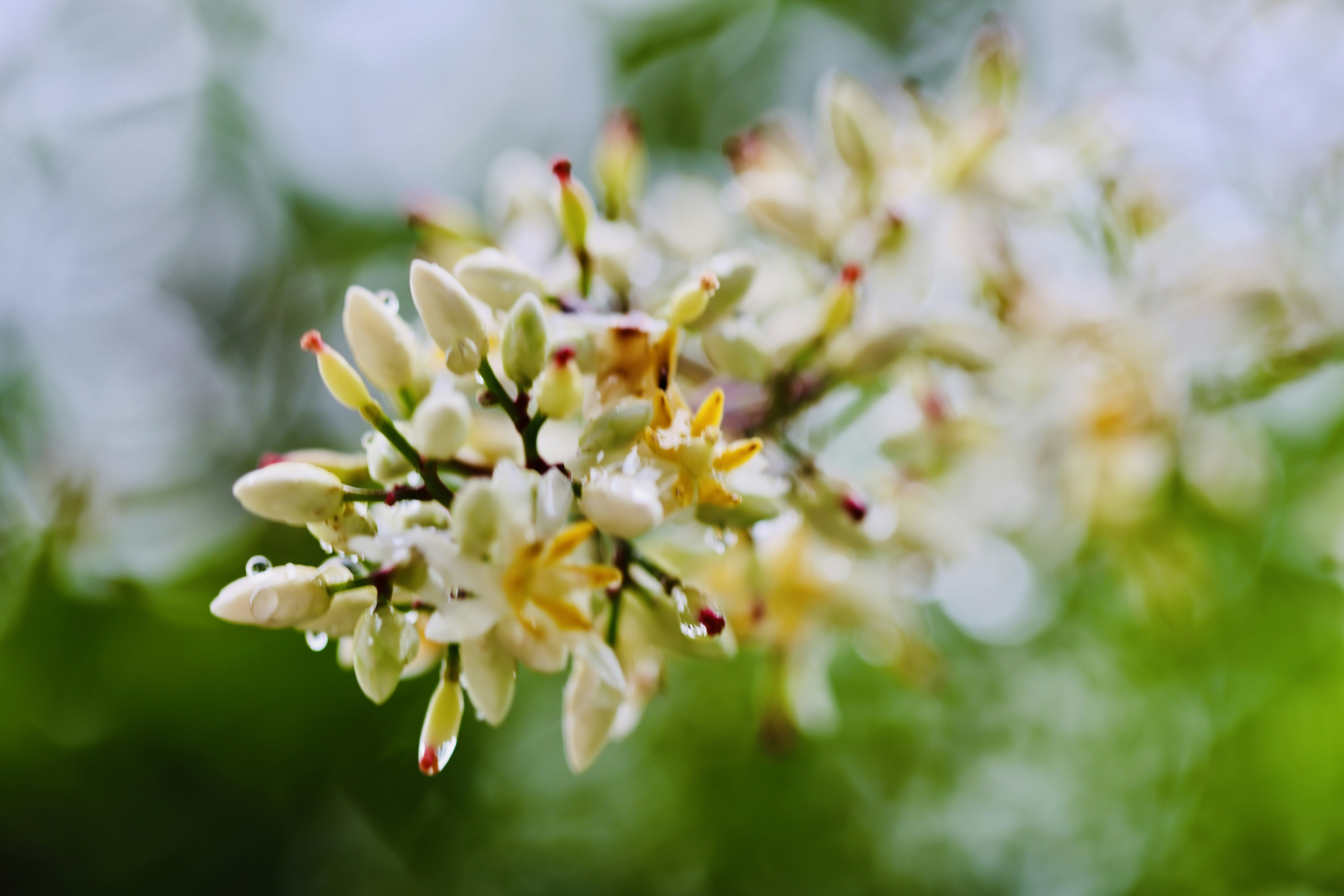 Photo by dickenslin76