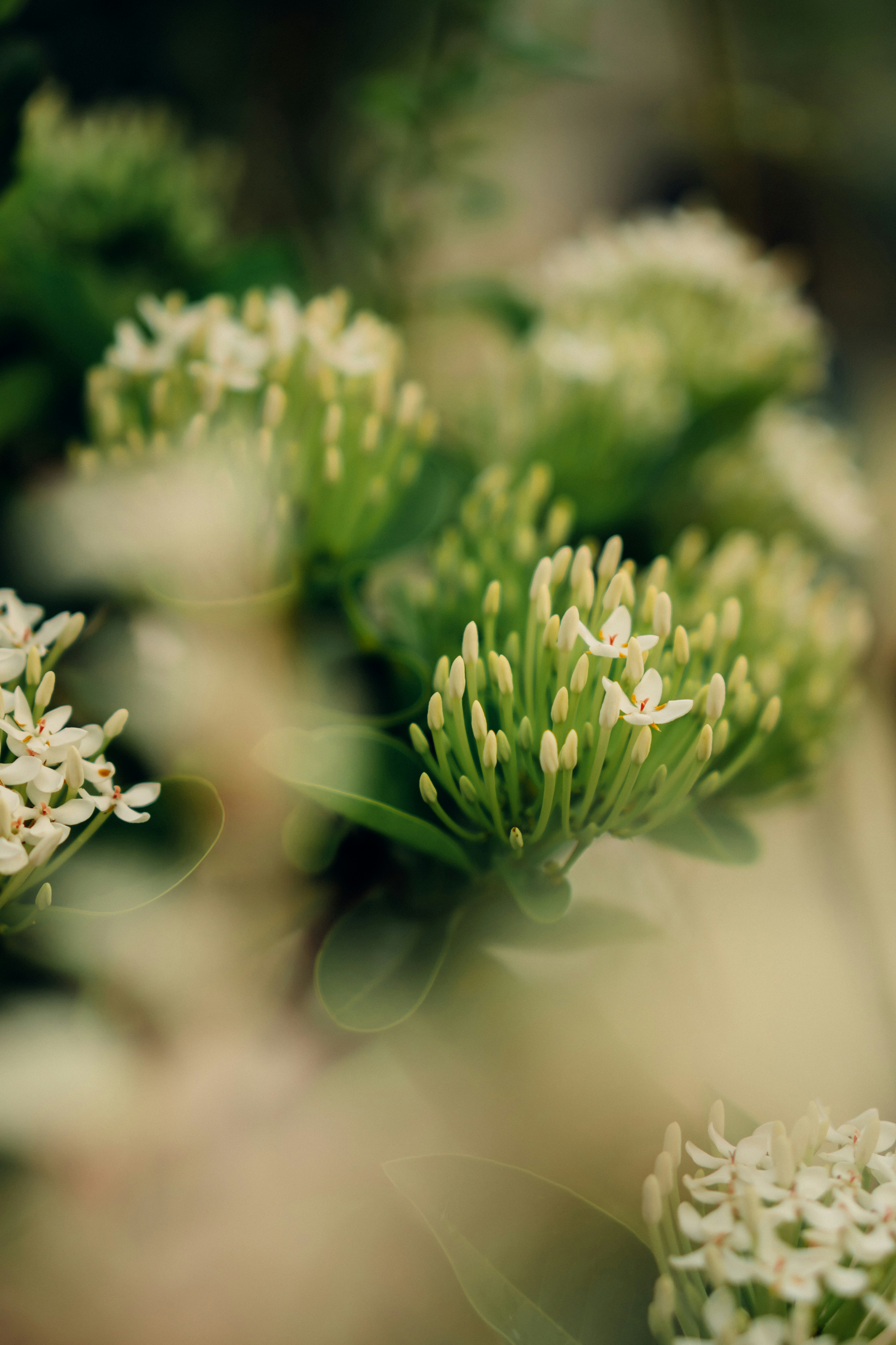 Photo by kensvisionx