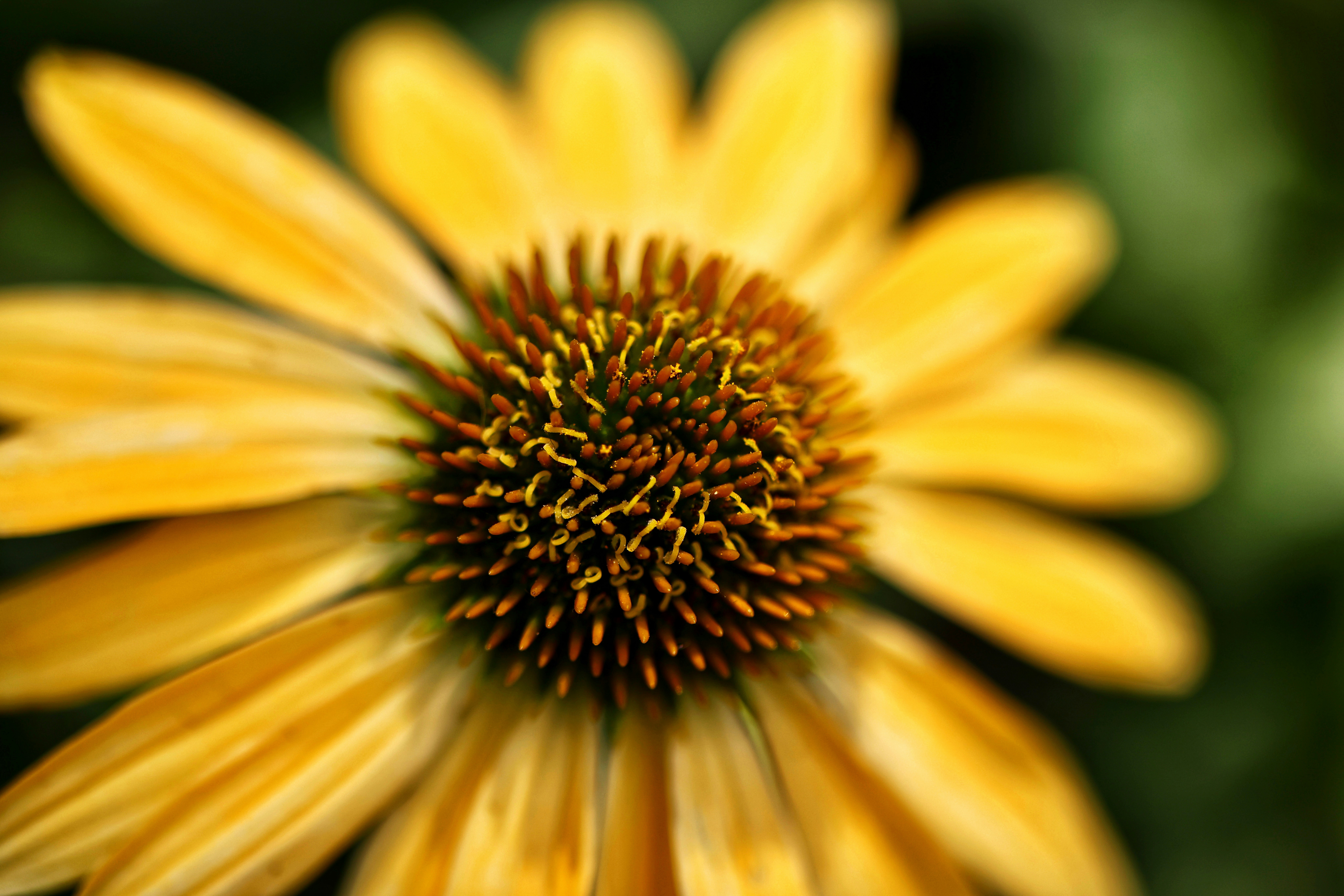 Photo by dickenslin76