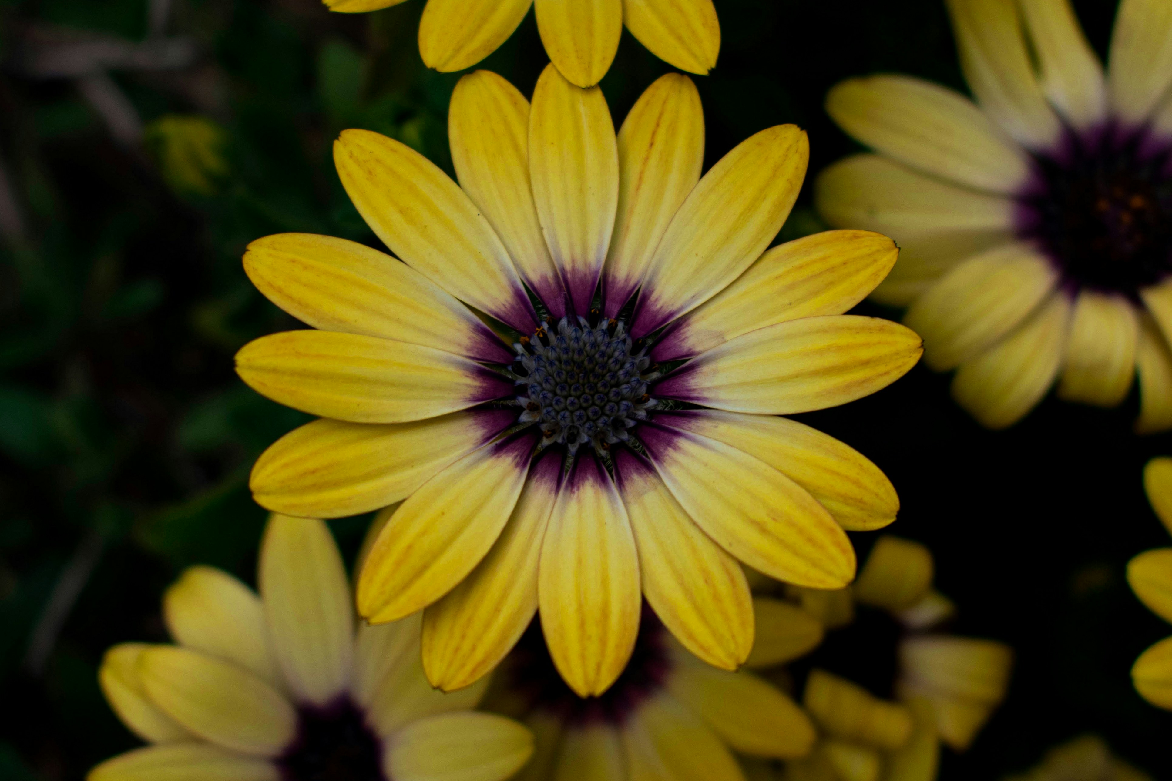 Photo by infinitecreations21