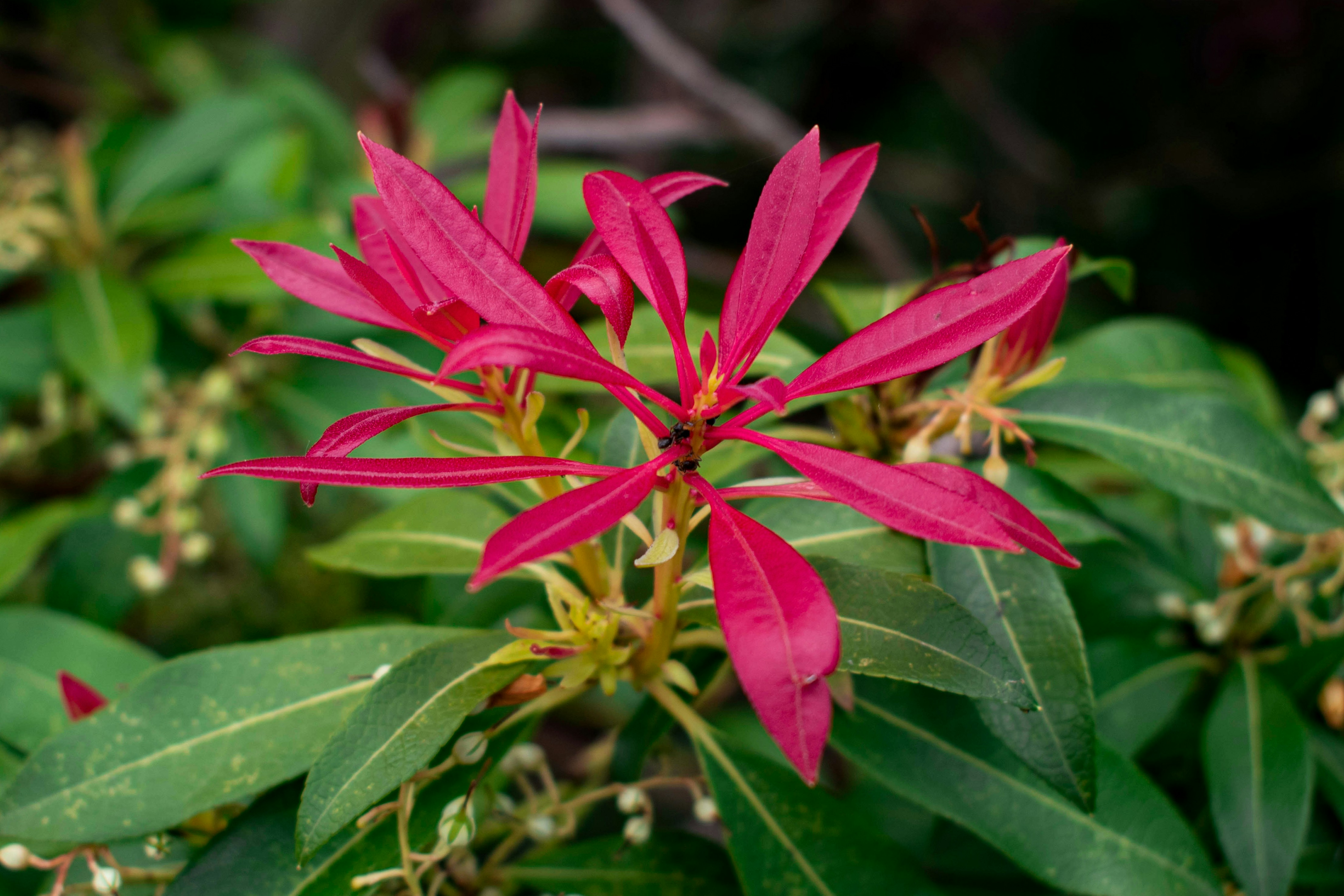 Photo by infinitecreations21