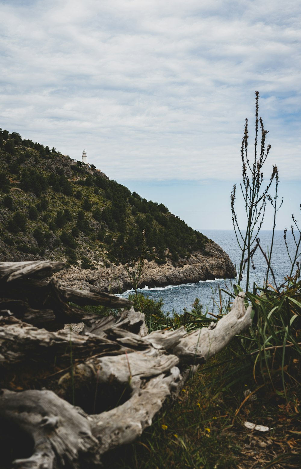 a rocky cliff with a body of water and trees on the side