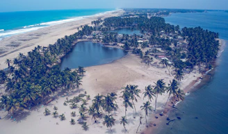 A serene view of the Ivorian lagoon bordered by lush greenery and local community members working together.