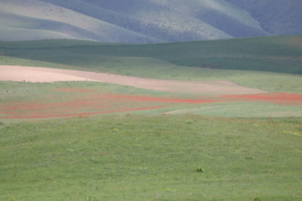 a green field with hills in the background