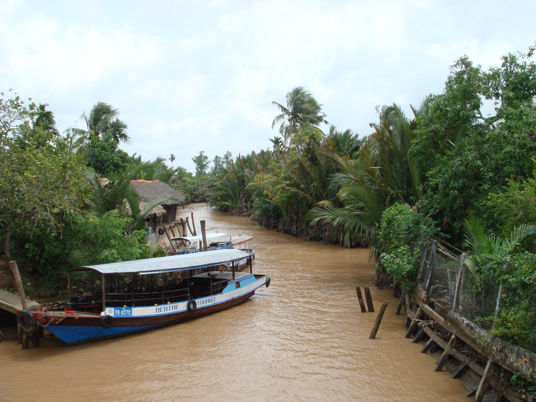 Tour boat on a narrow brown-water canal surrounded by palms in the Mekong Delta, Vietnam