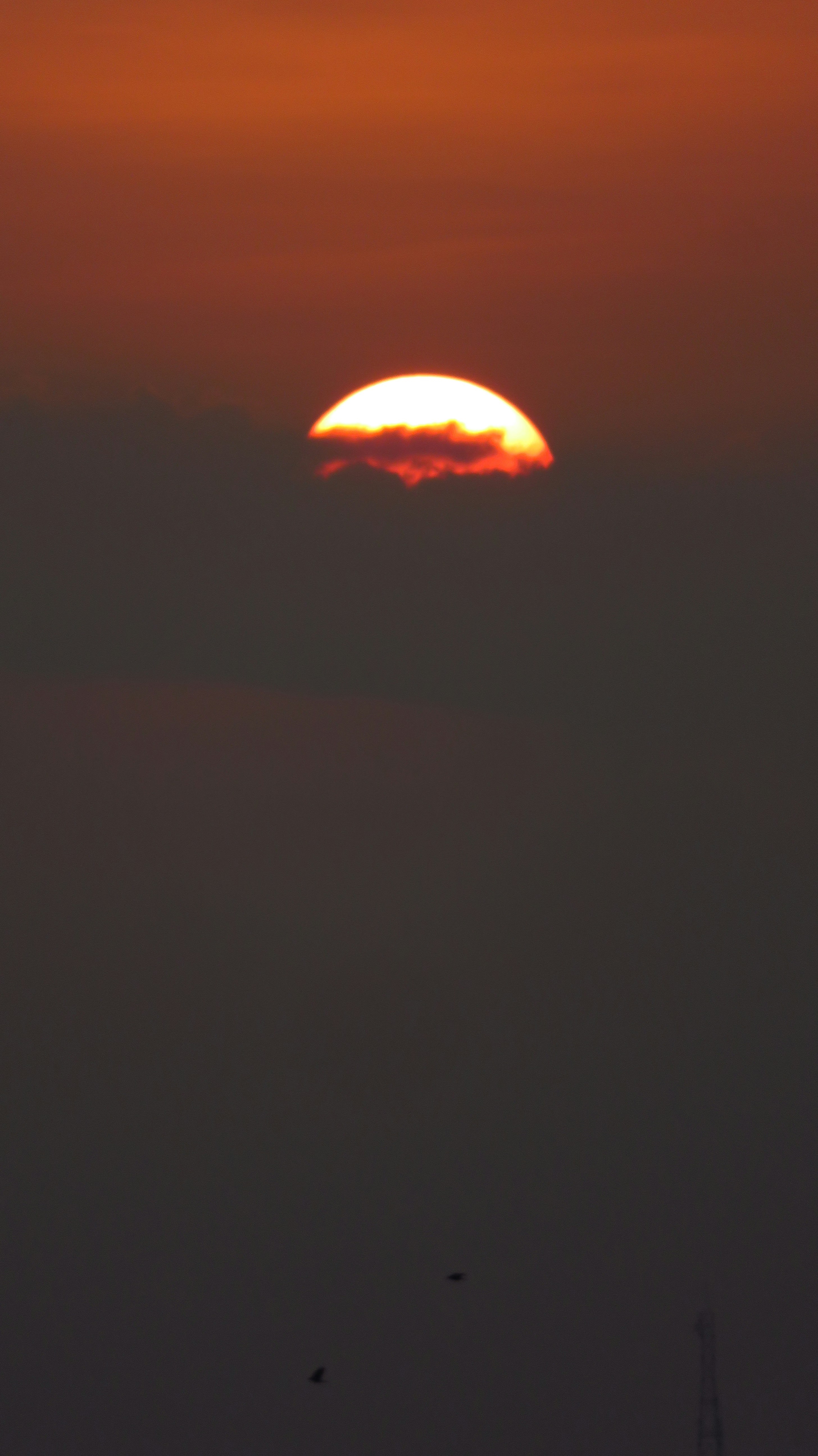 Photo by jason_williams__09