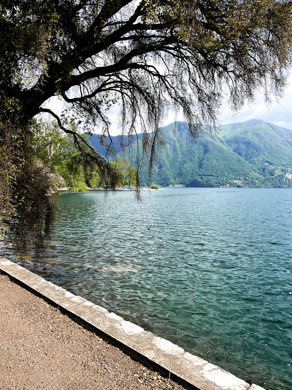 The image depicts a serene lake surrounded by lush green mountains and trees. The calm, light blue water reflects the clear sky above. On the left side of the frame is a concrete walkway that leads to the edge of the lake, with a tree branch extending over it. In the background on the right side, there are several buildings nestled among the trees.