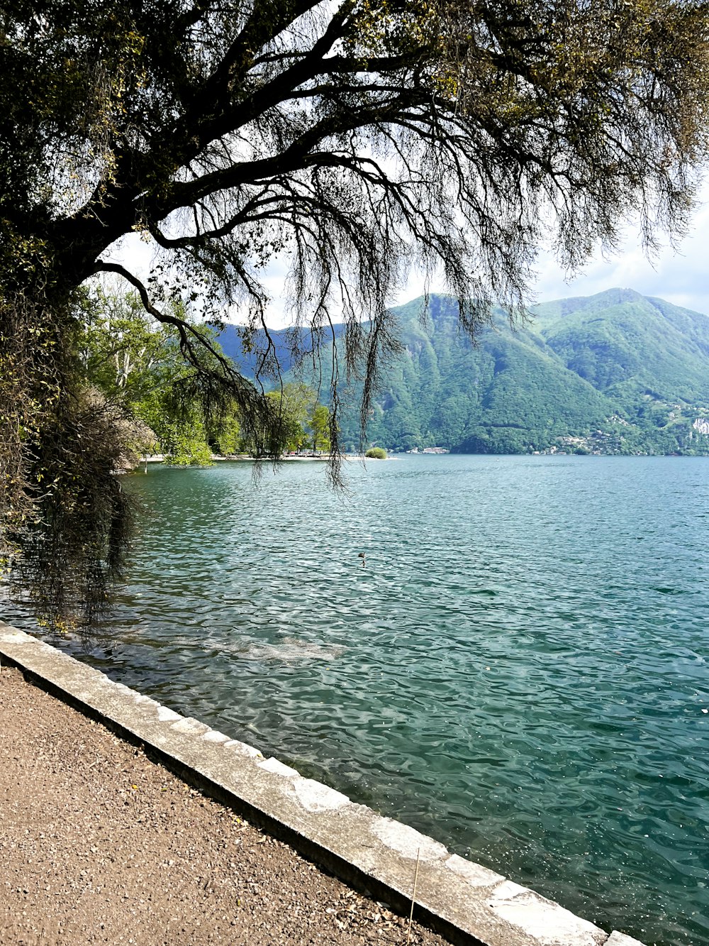 a body of water with trees around it and mountains in the background