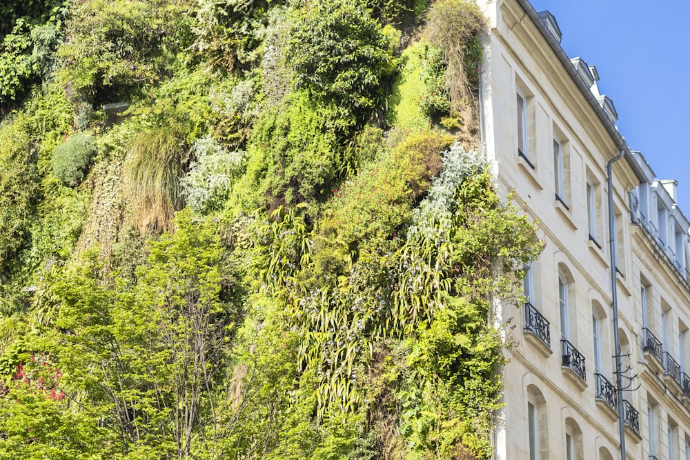 a building with trees around it