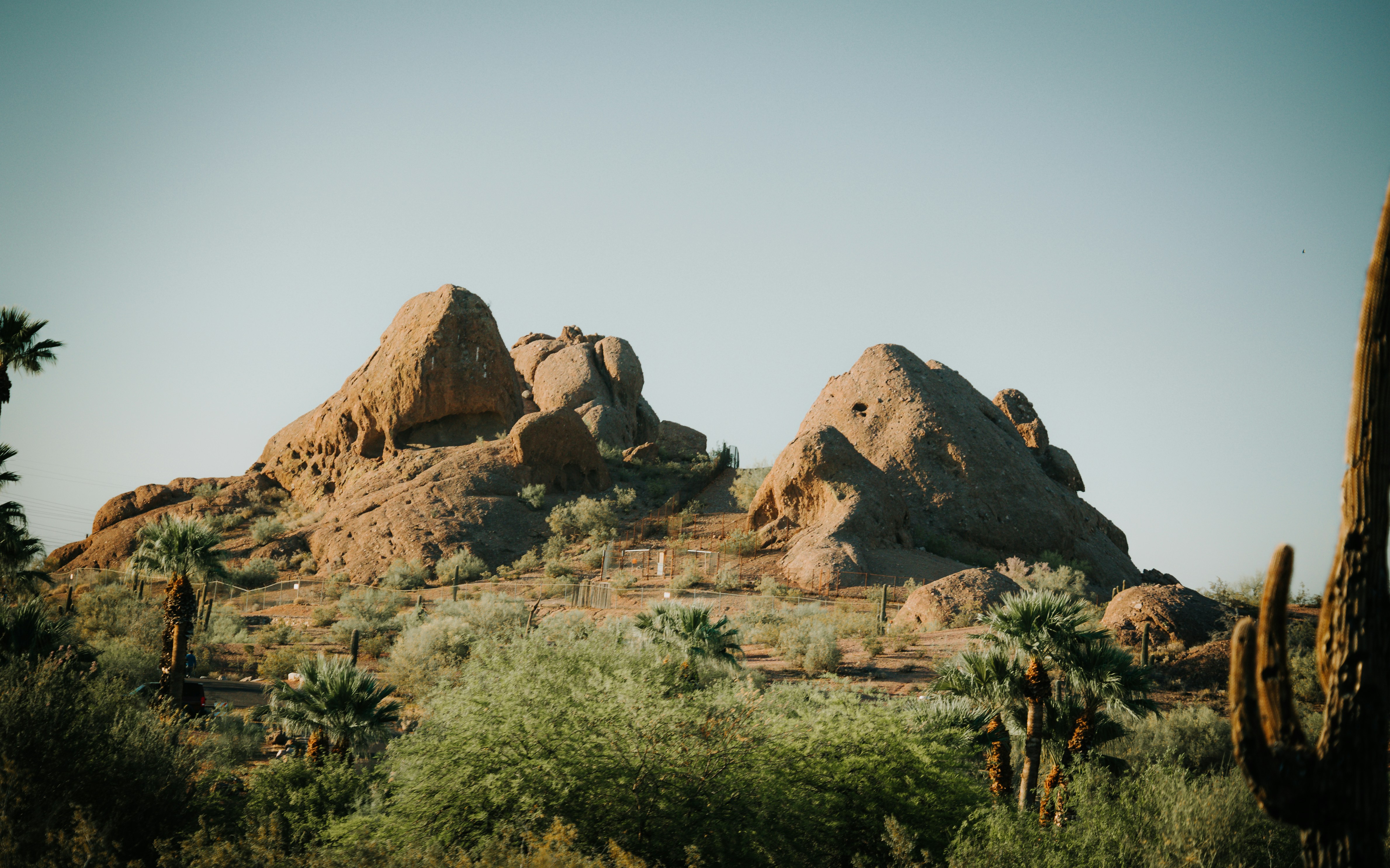 Photo by jeffersonsees