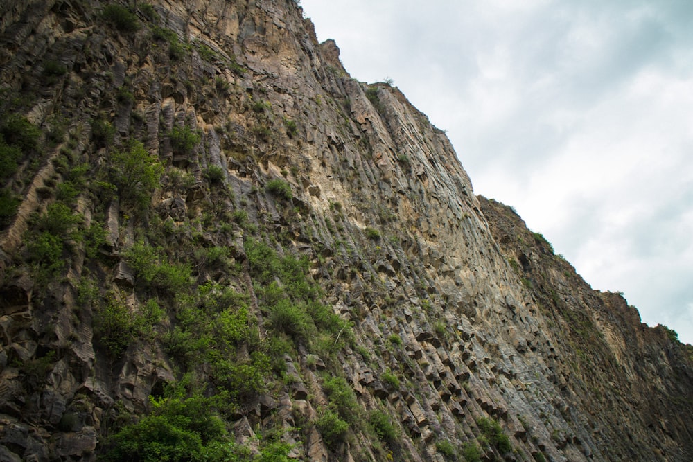 a rocky cliff with trees