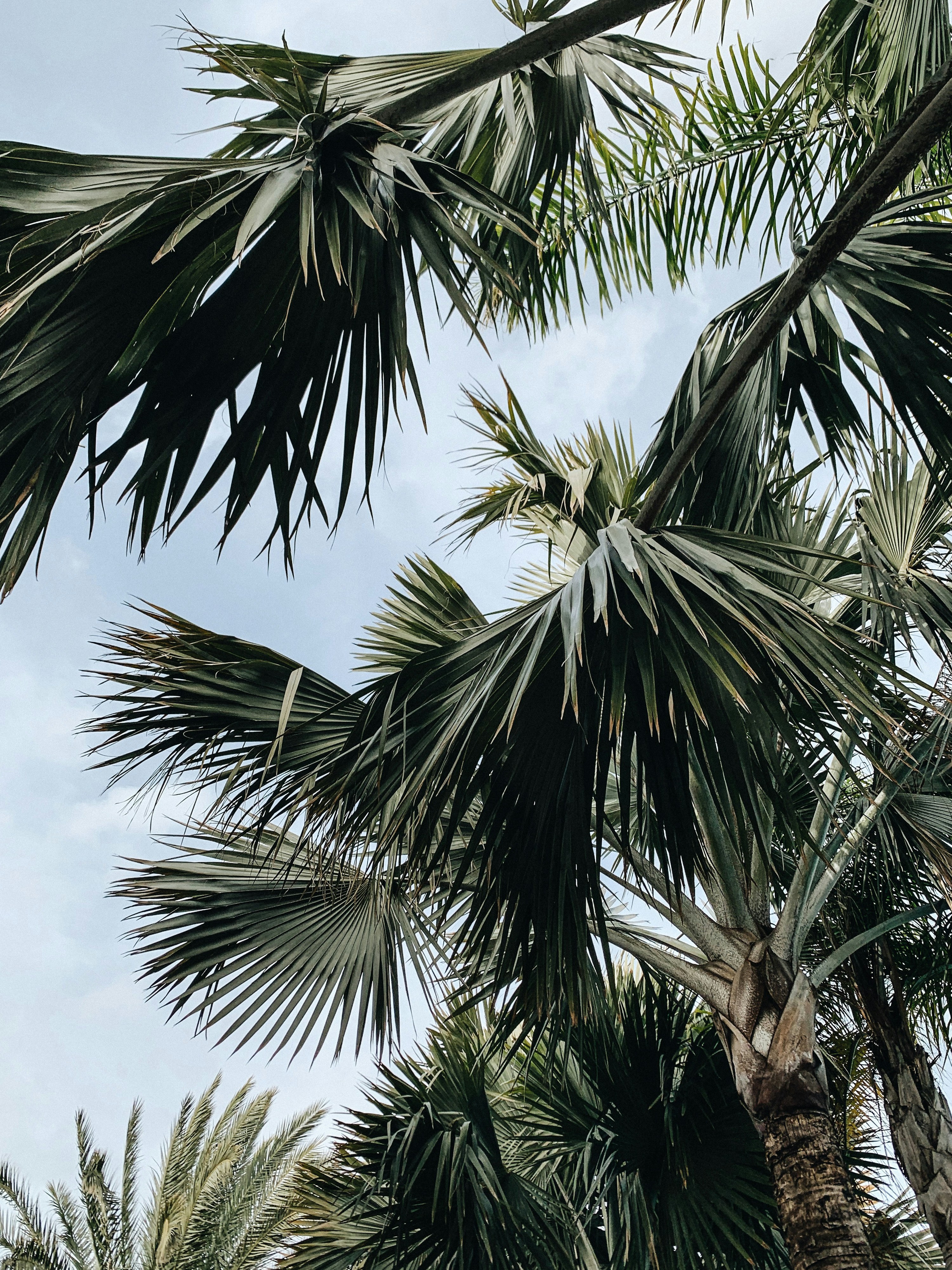 Photo by lubitglazami