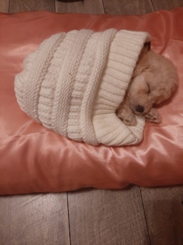 A small puppy is sleeping peacefully, wrapped in a thick white knitted blanket. The puppy is lying on a soft, shiny pink cushion, and the floor is made of brown wooden planks.