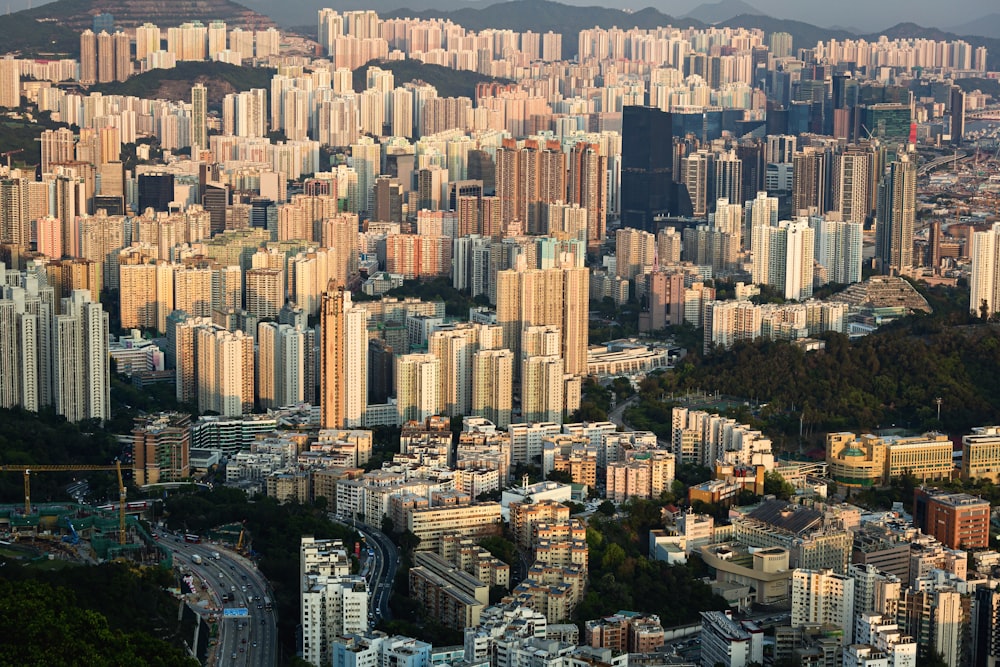 a city with many buildings