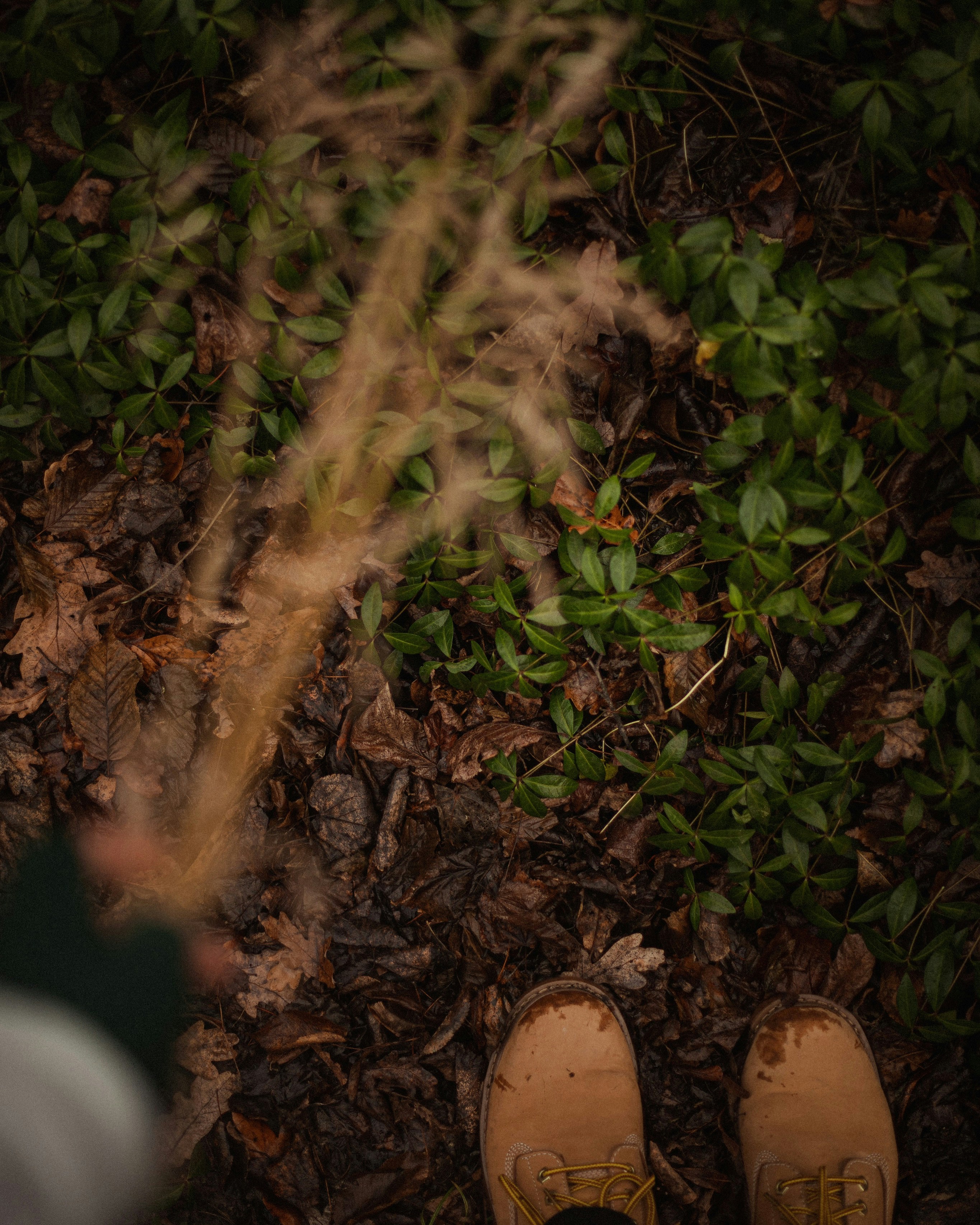 Photo by mykhailokopyt