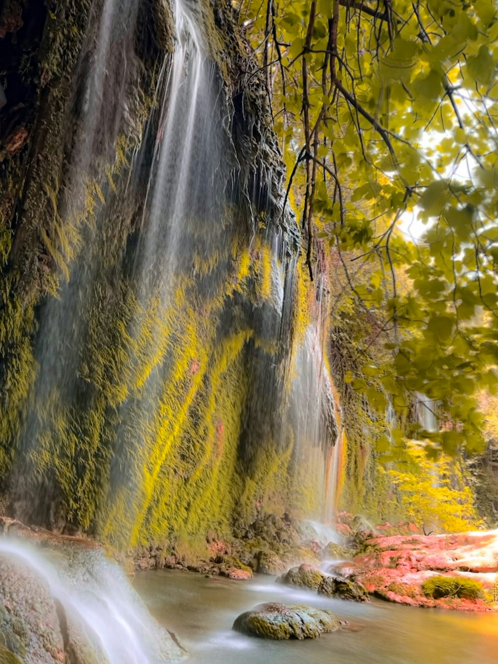 a waterfall with trees around it