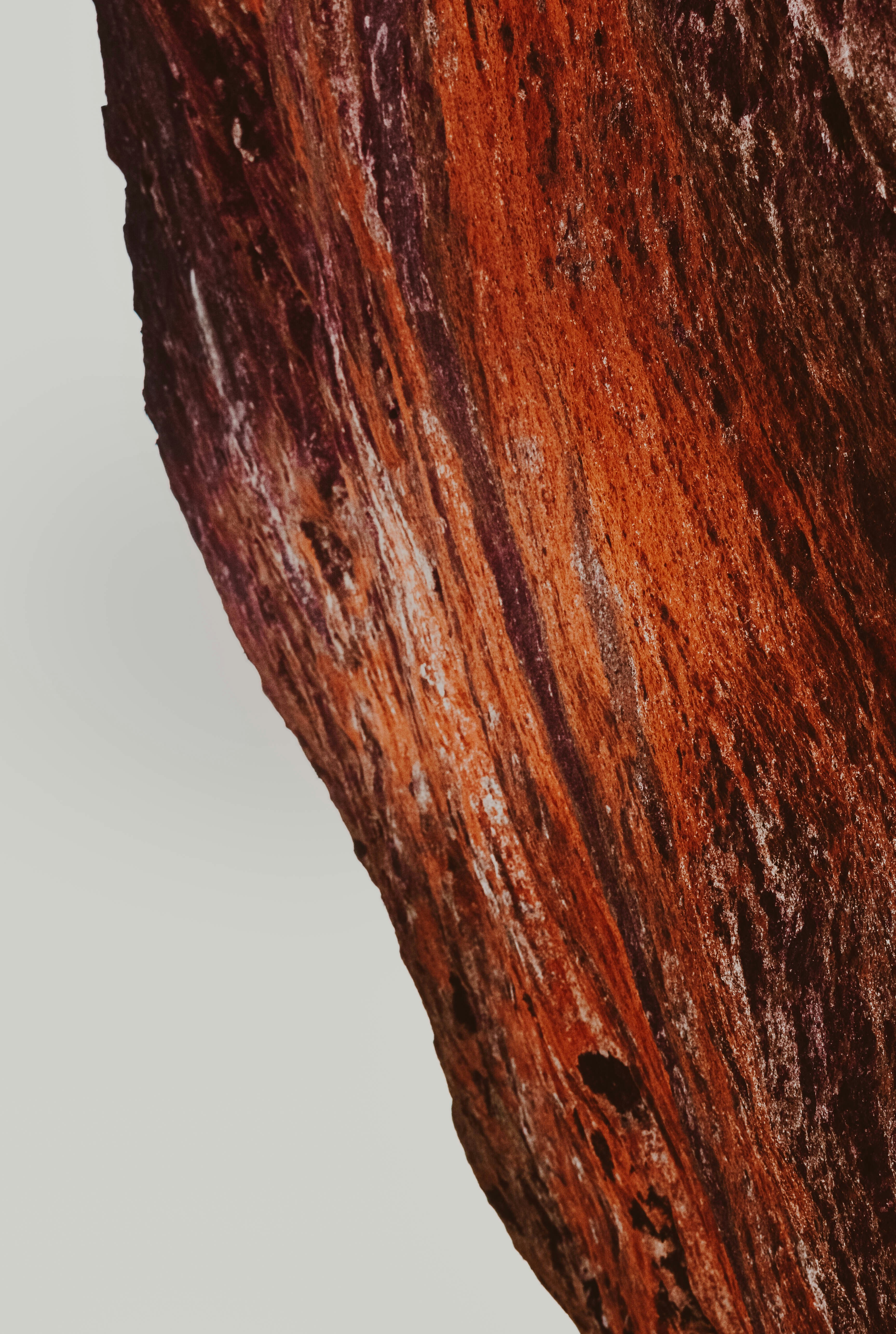 Photo by navi_photography