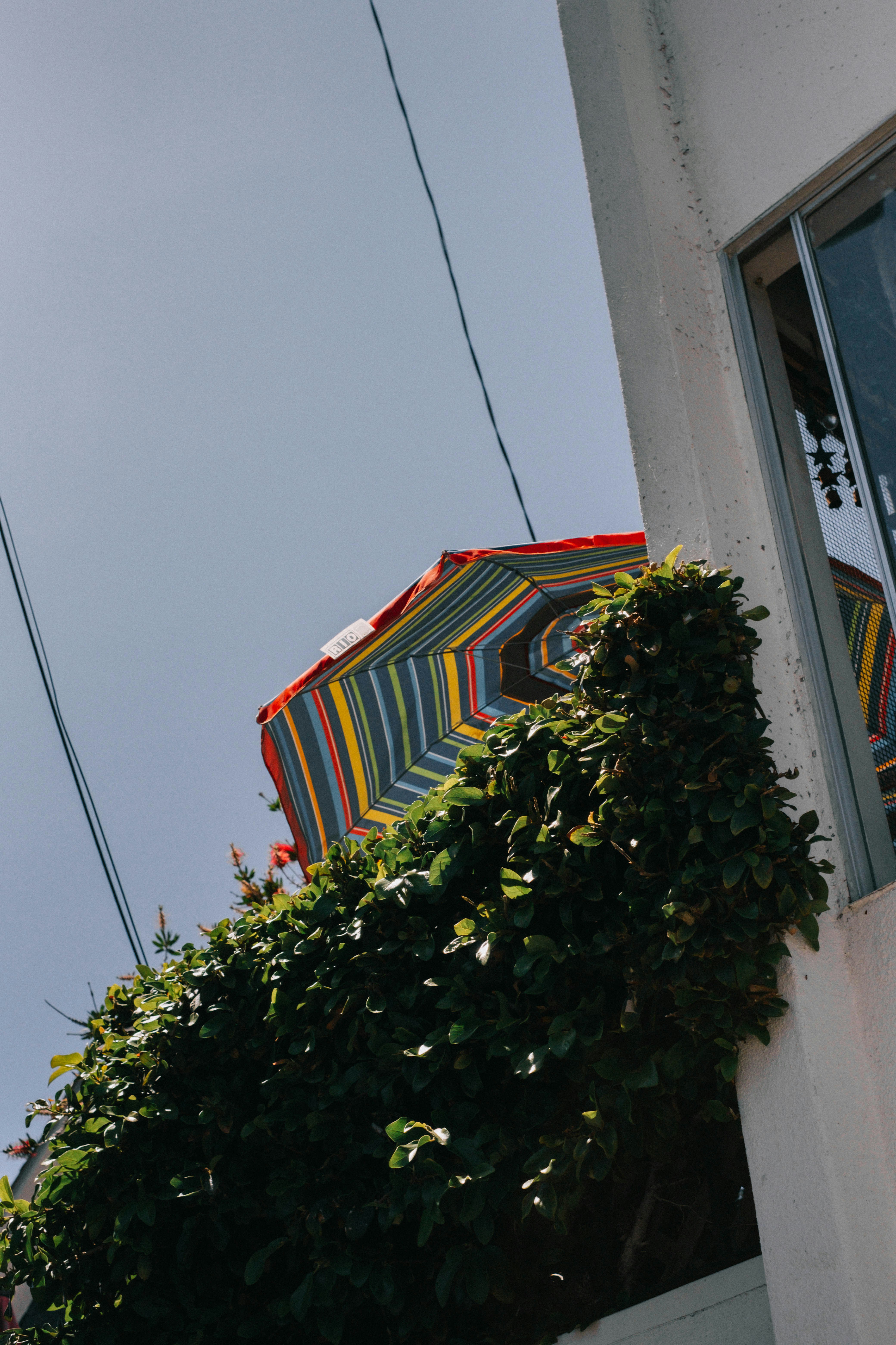 Photo by mattxfotographs