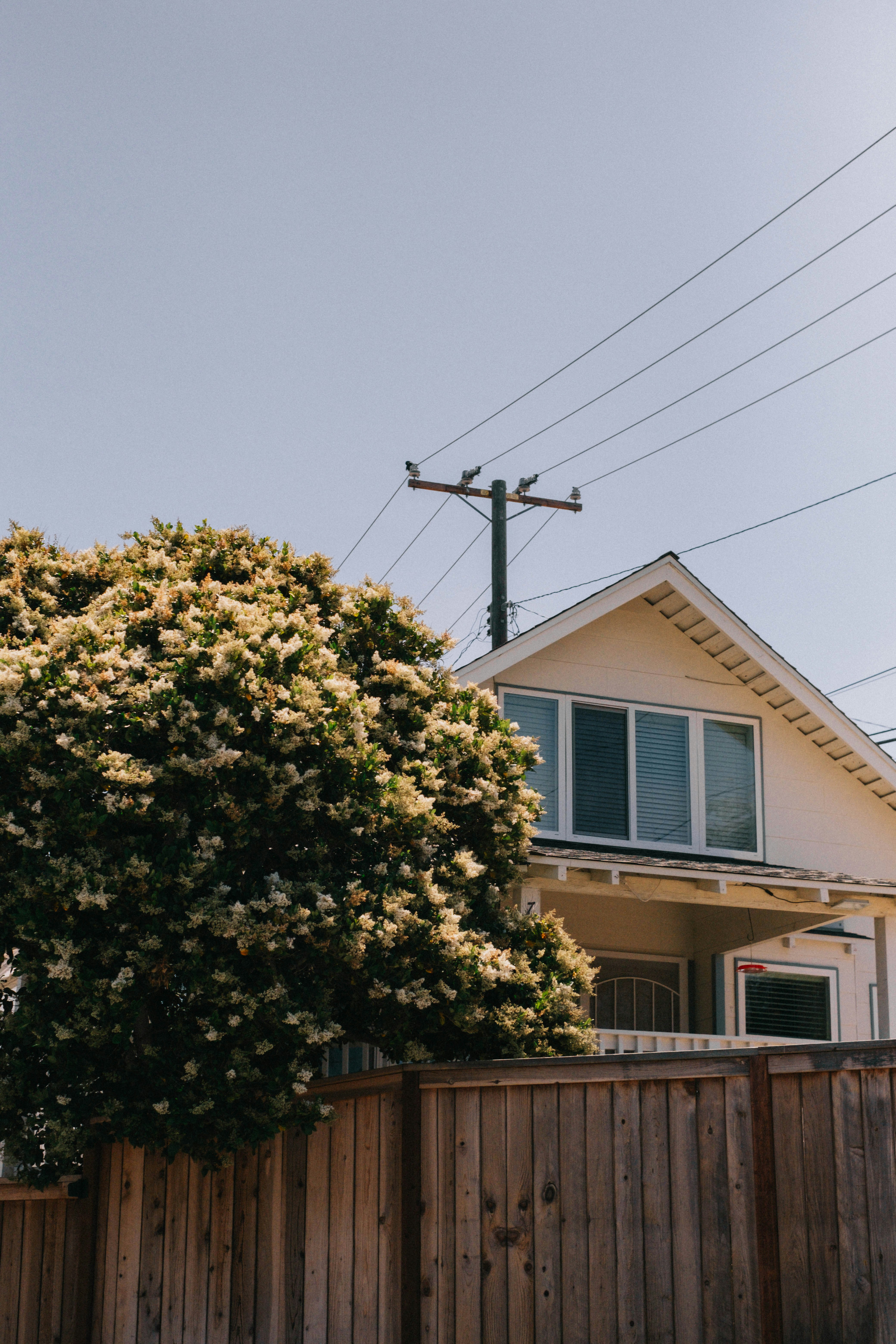 Photo by mattxfotographs