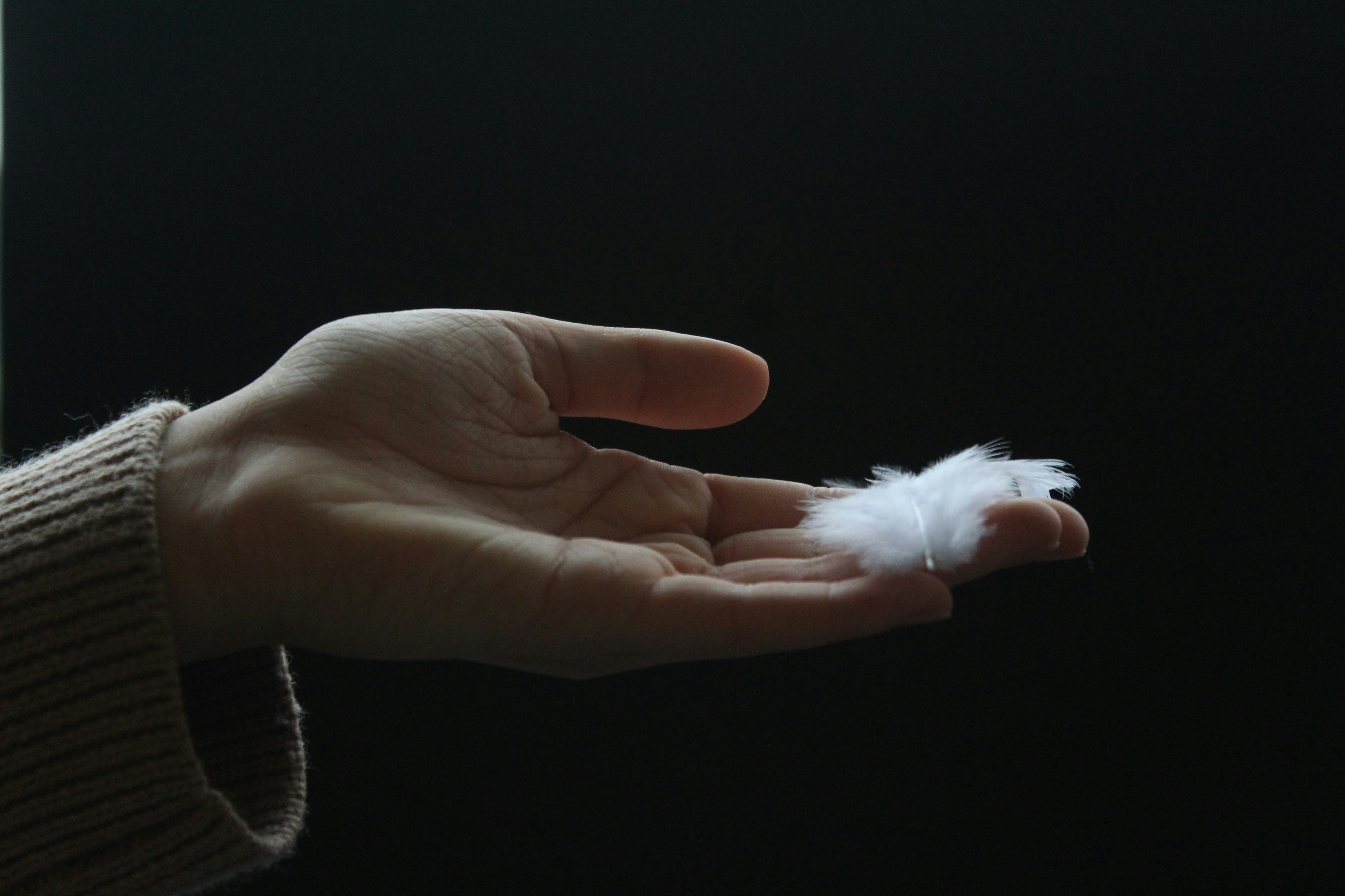 Practice "Feather-lite  Breath Meditation"