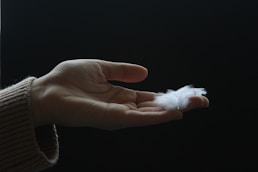 a hand holding a white rope