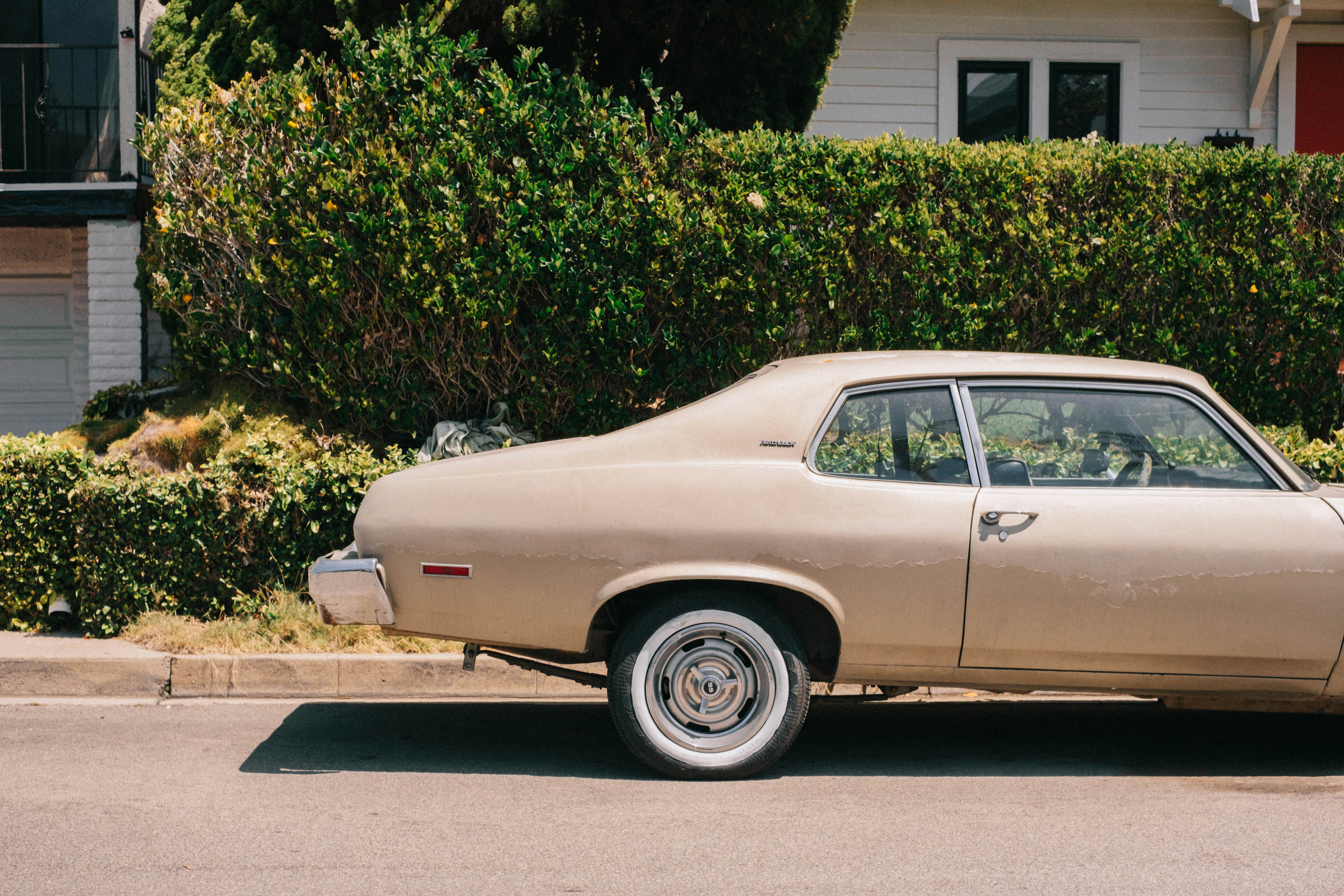 Photo by mattxfotographs