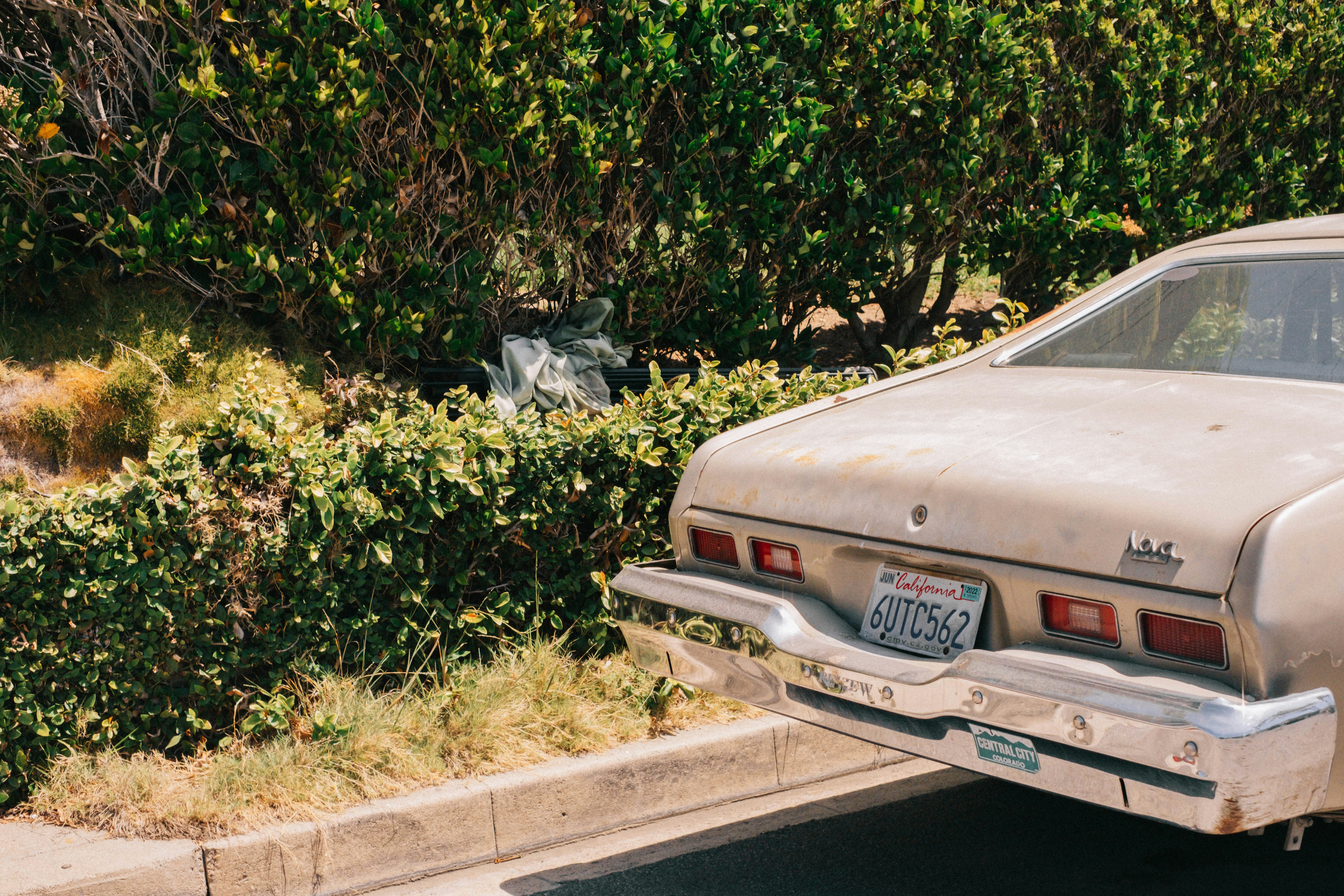 Photo by mattxfotographs