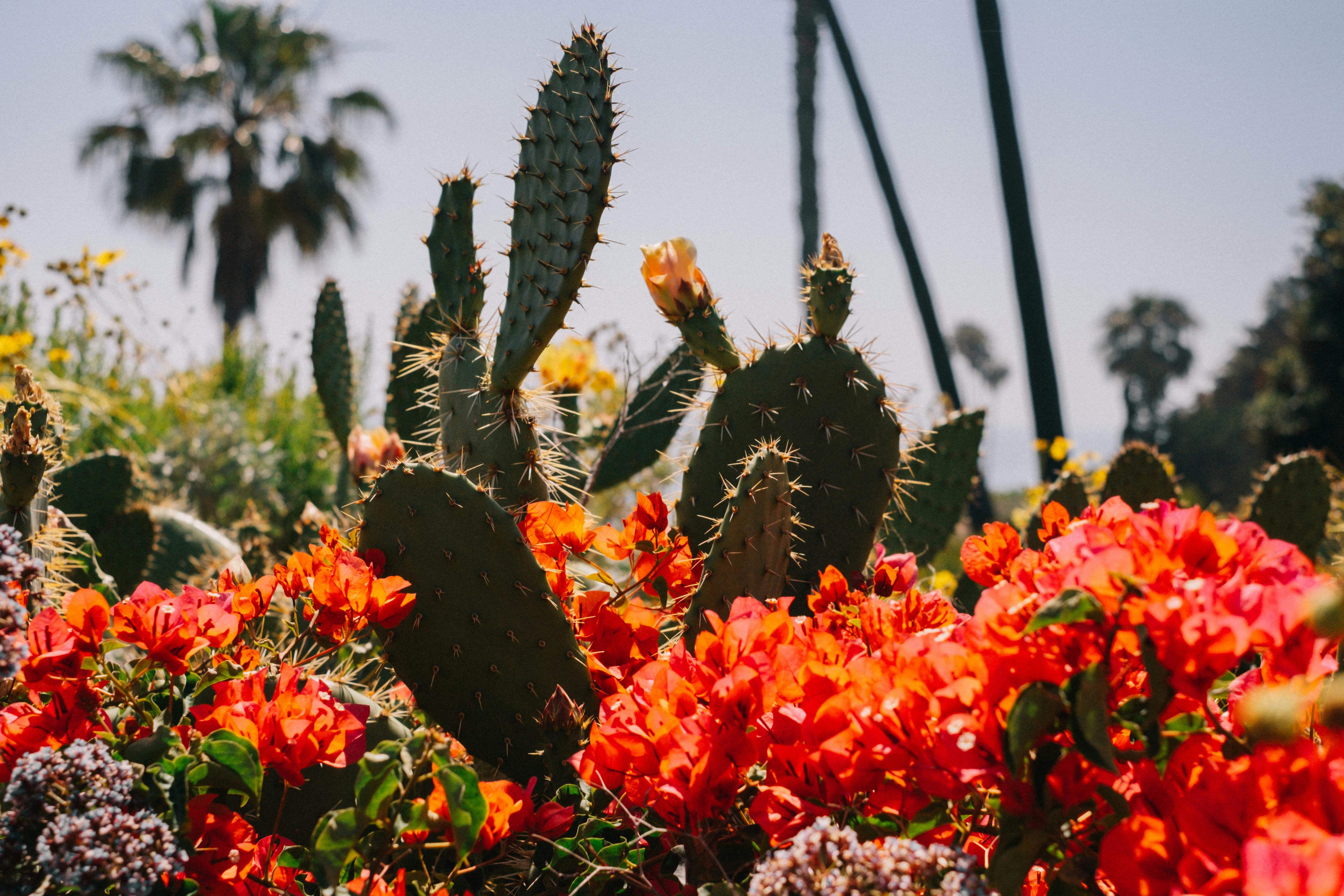 Photo by mattxfotographs