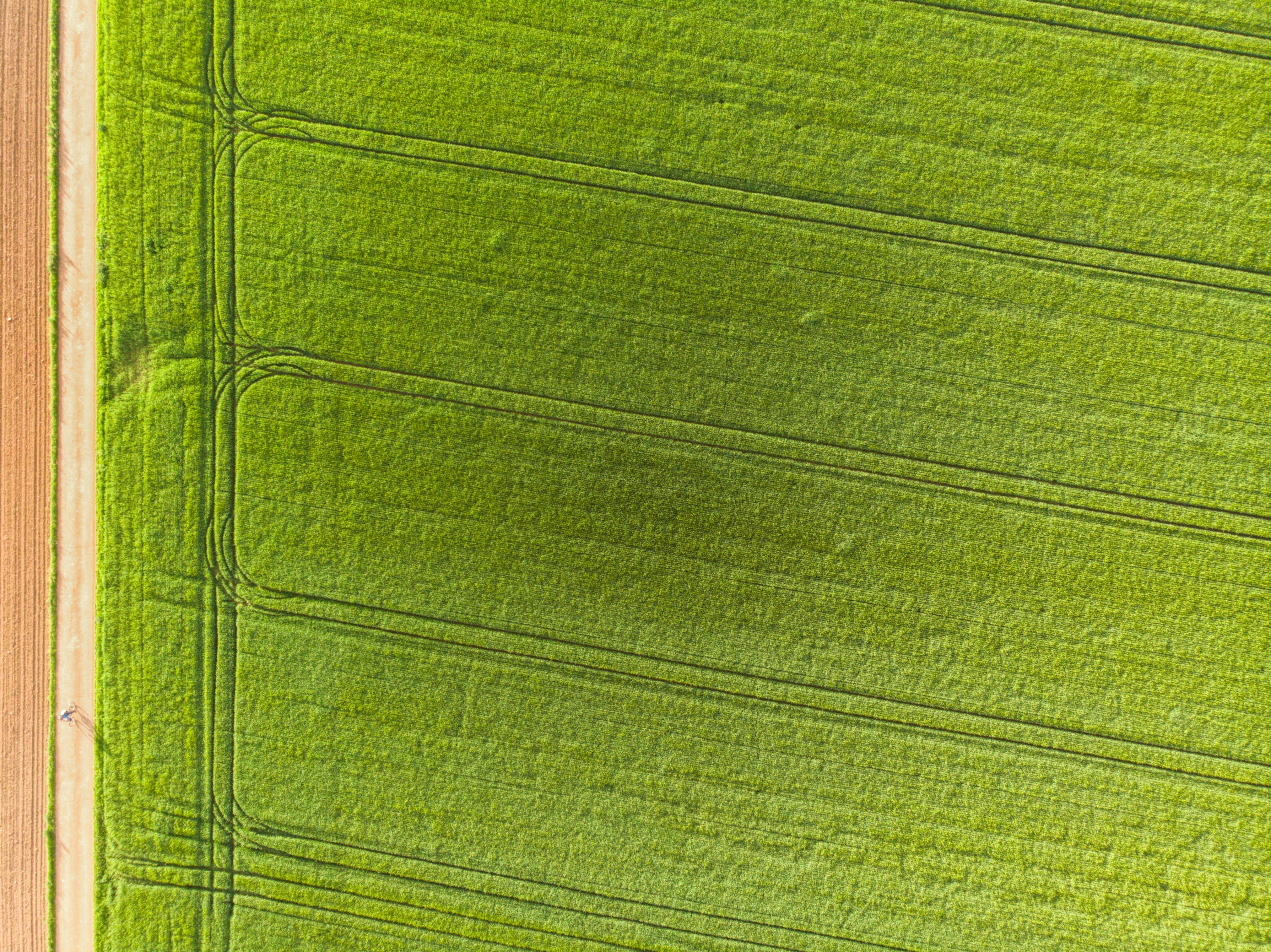 Revolutionizing Agricultural Drones