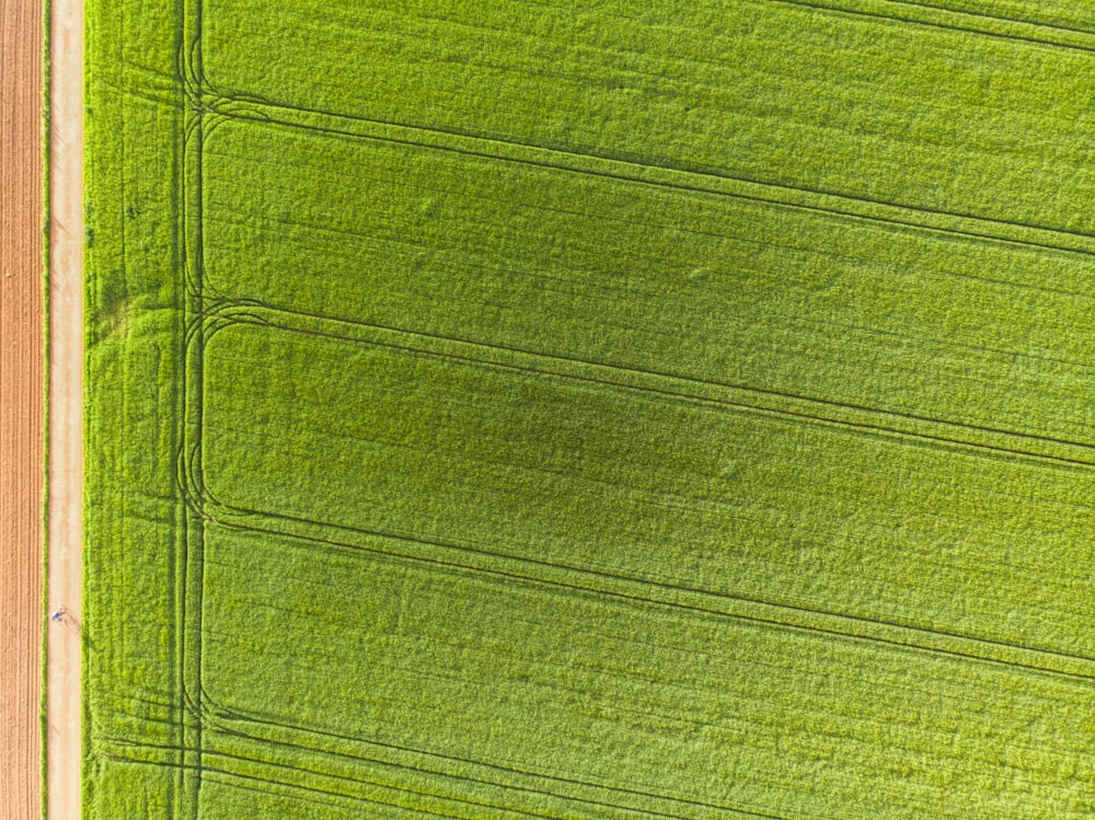 a close up of a green surface