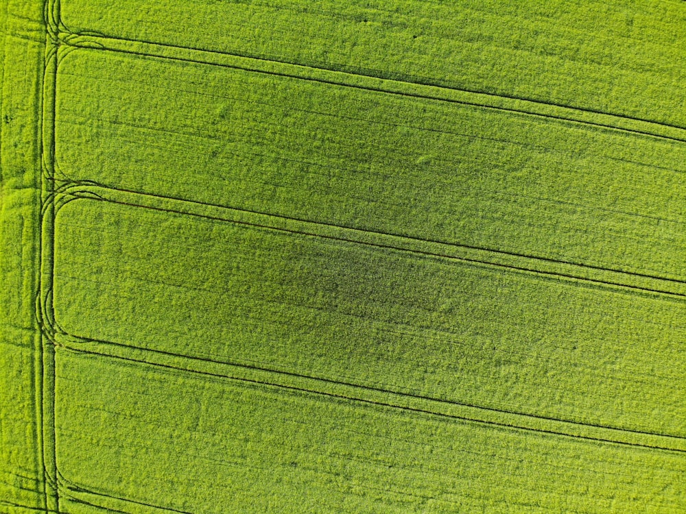 a close up of a green fabric