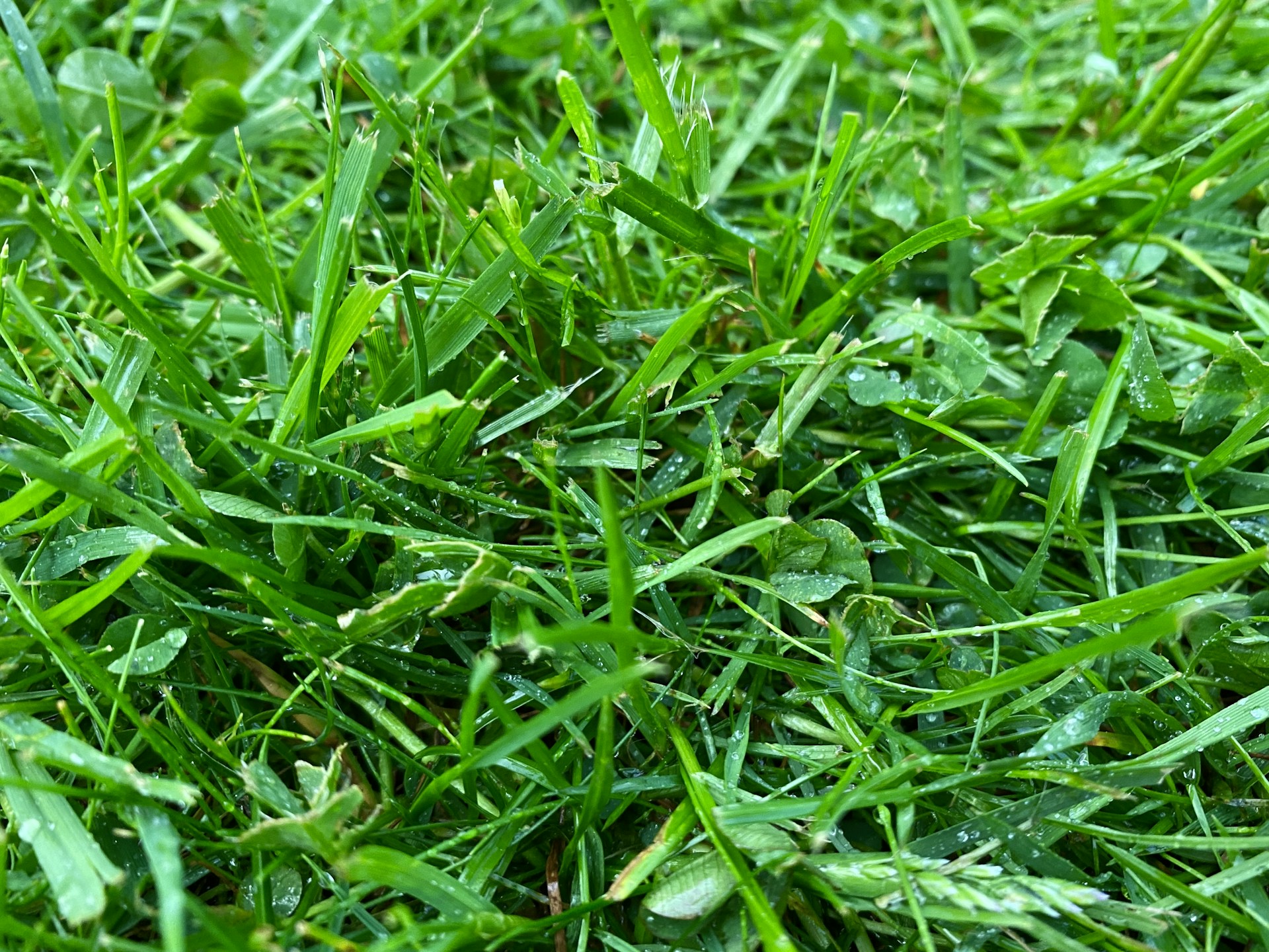 woman wearing yellow long-sleeved dress under white clouds and blue sky during daytime
