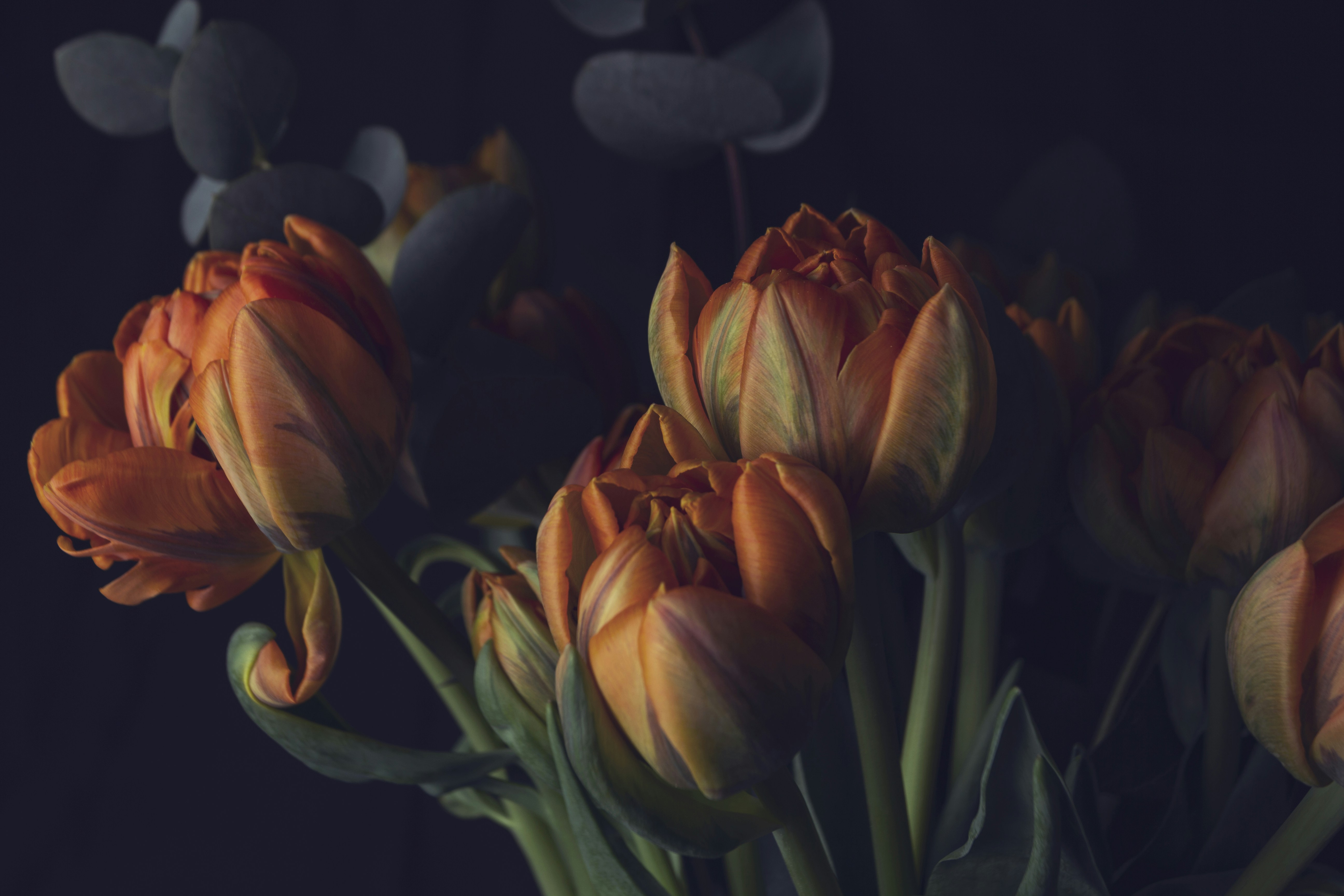 Photo by shutter_speed_