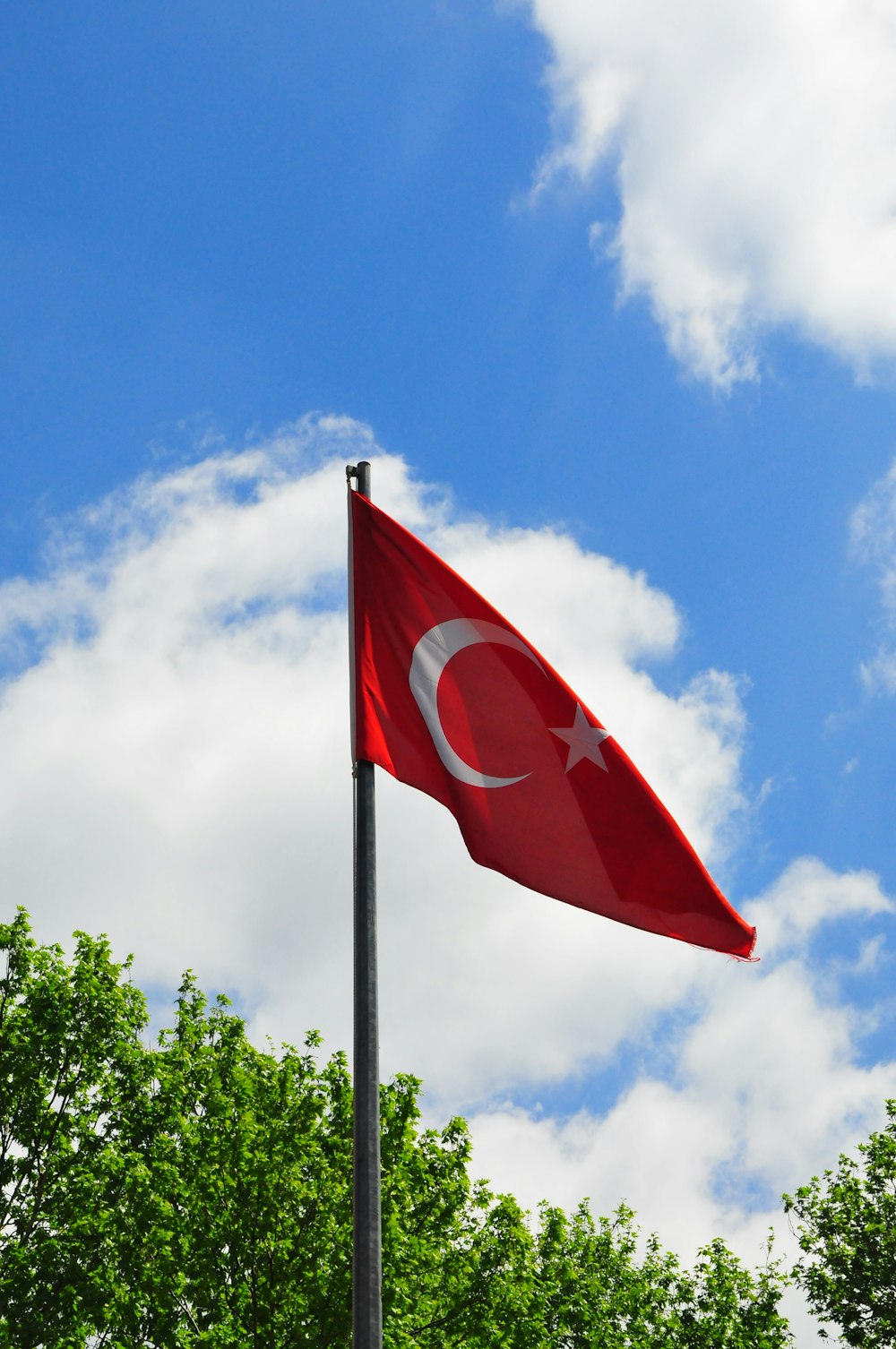 a flag on a pole