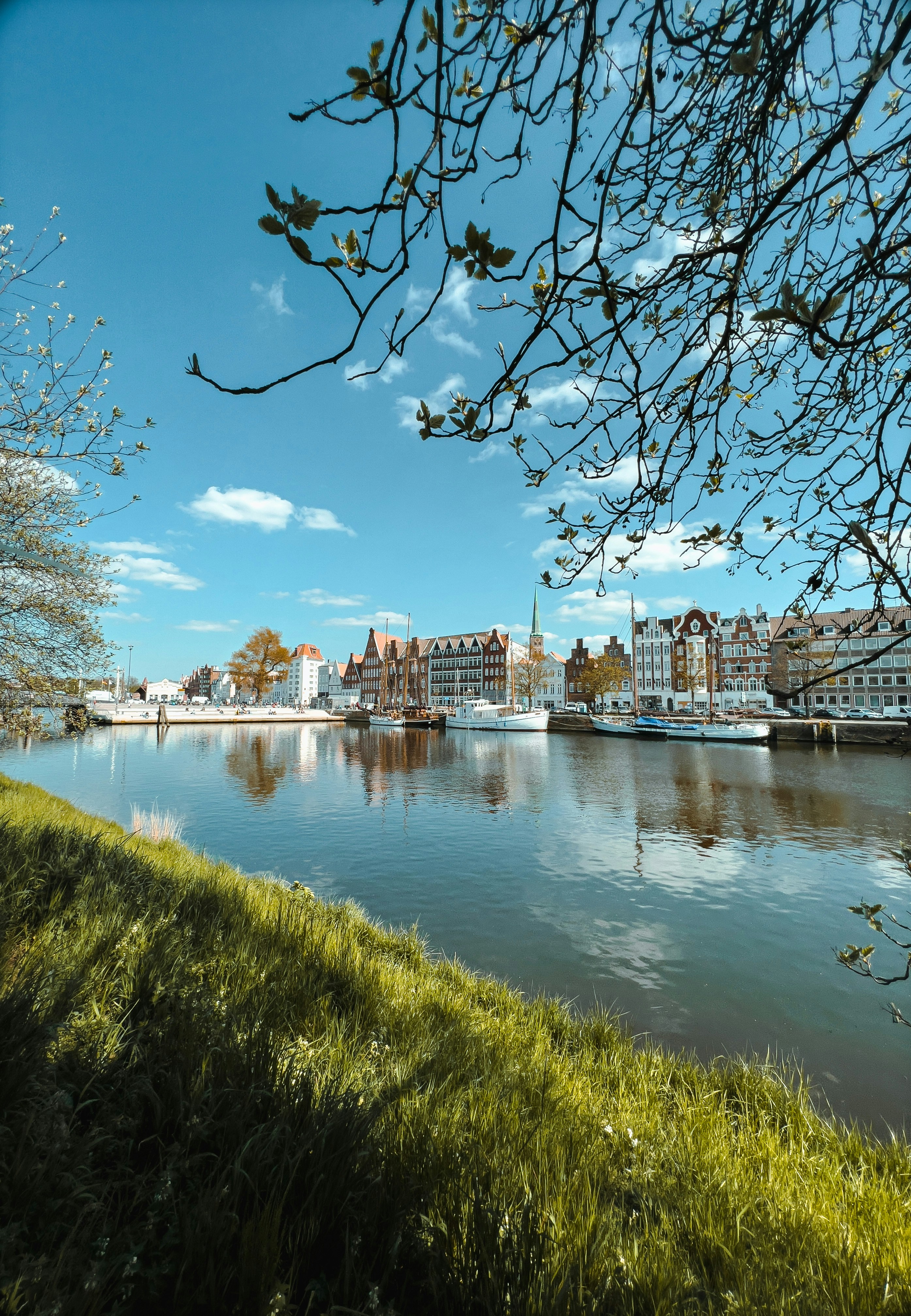 Photo by osamamuslih