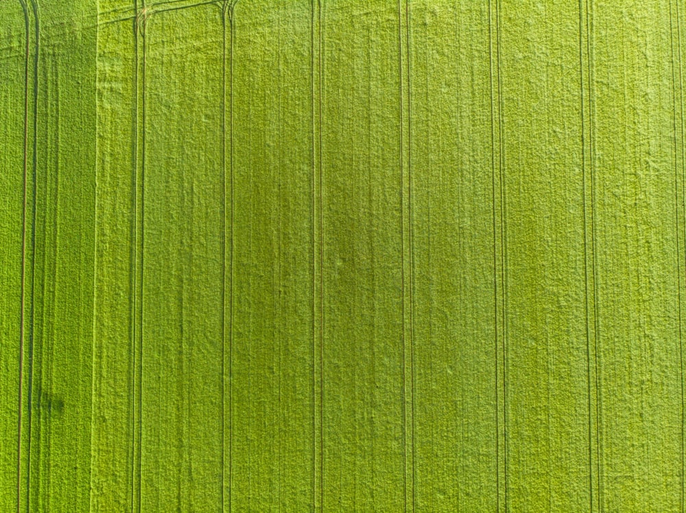 a close up of a green fabric