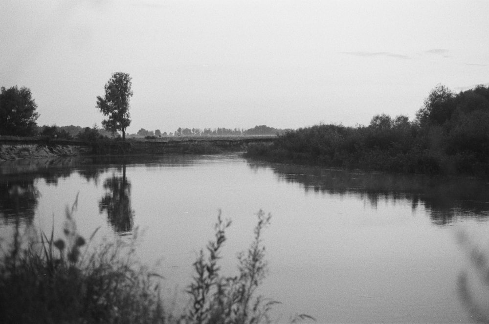 a body of water with trees and bushes around it