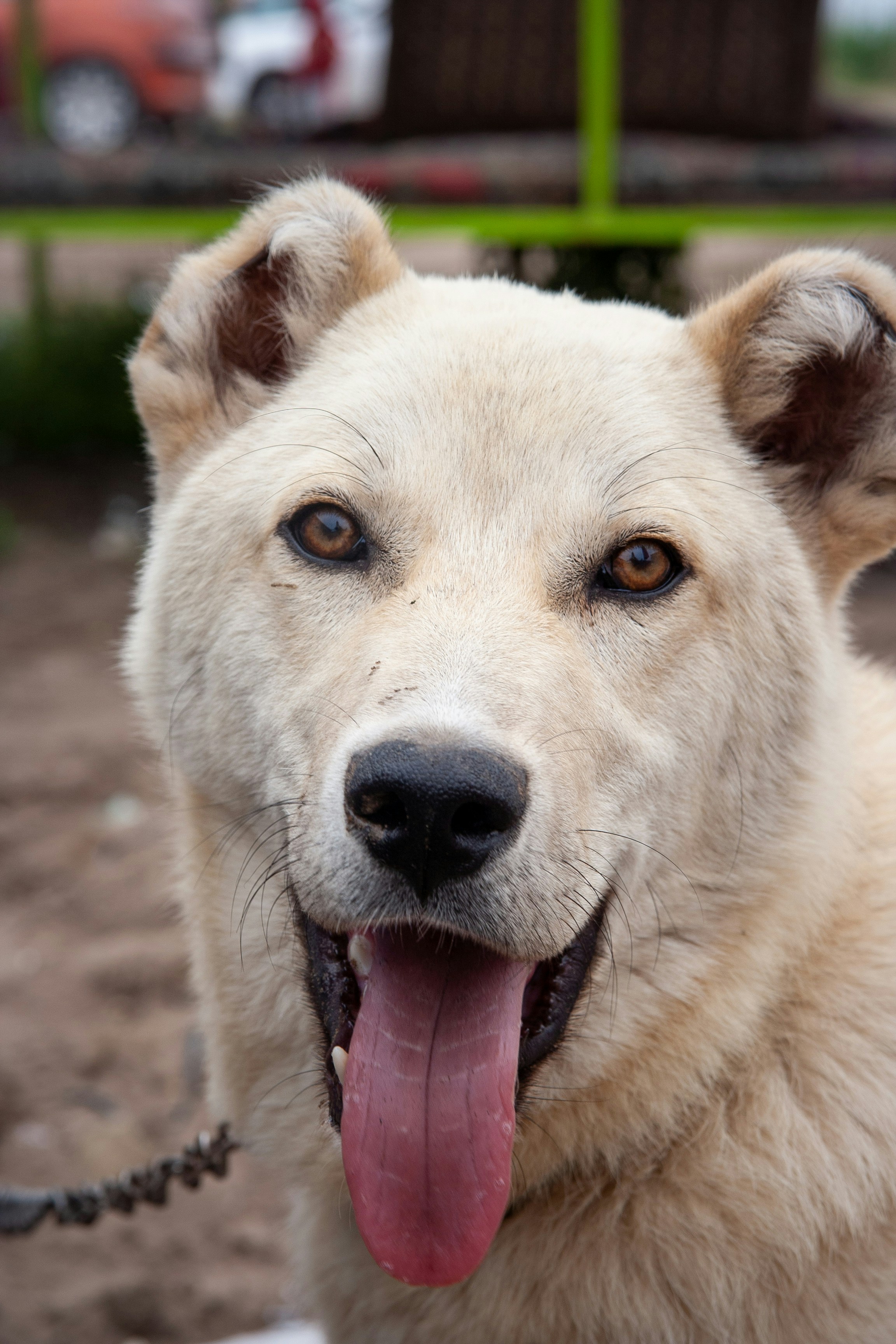 Photo by bita_eskandari