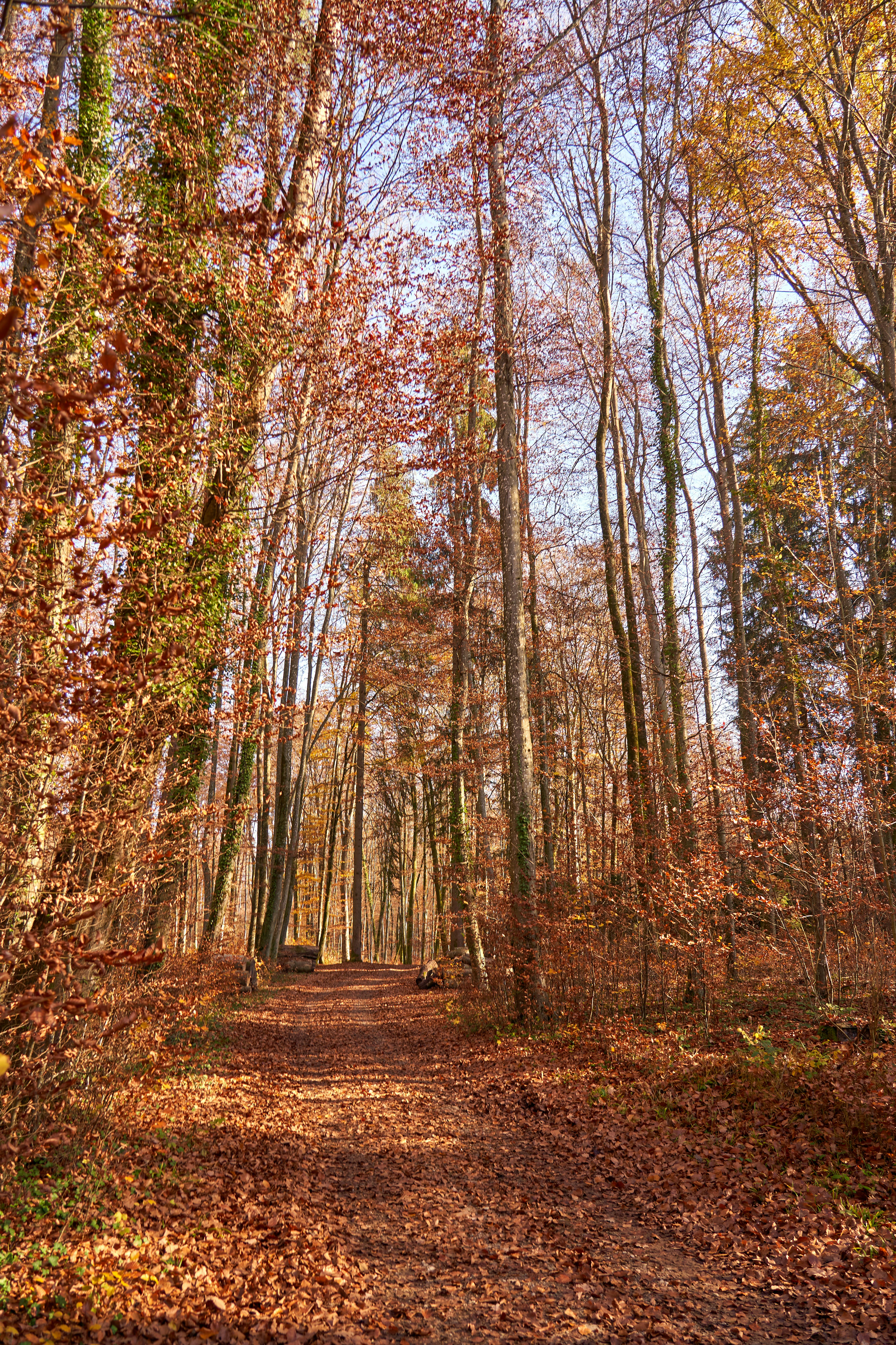 Photo by wolfgang_hasselmann