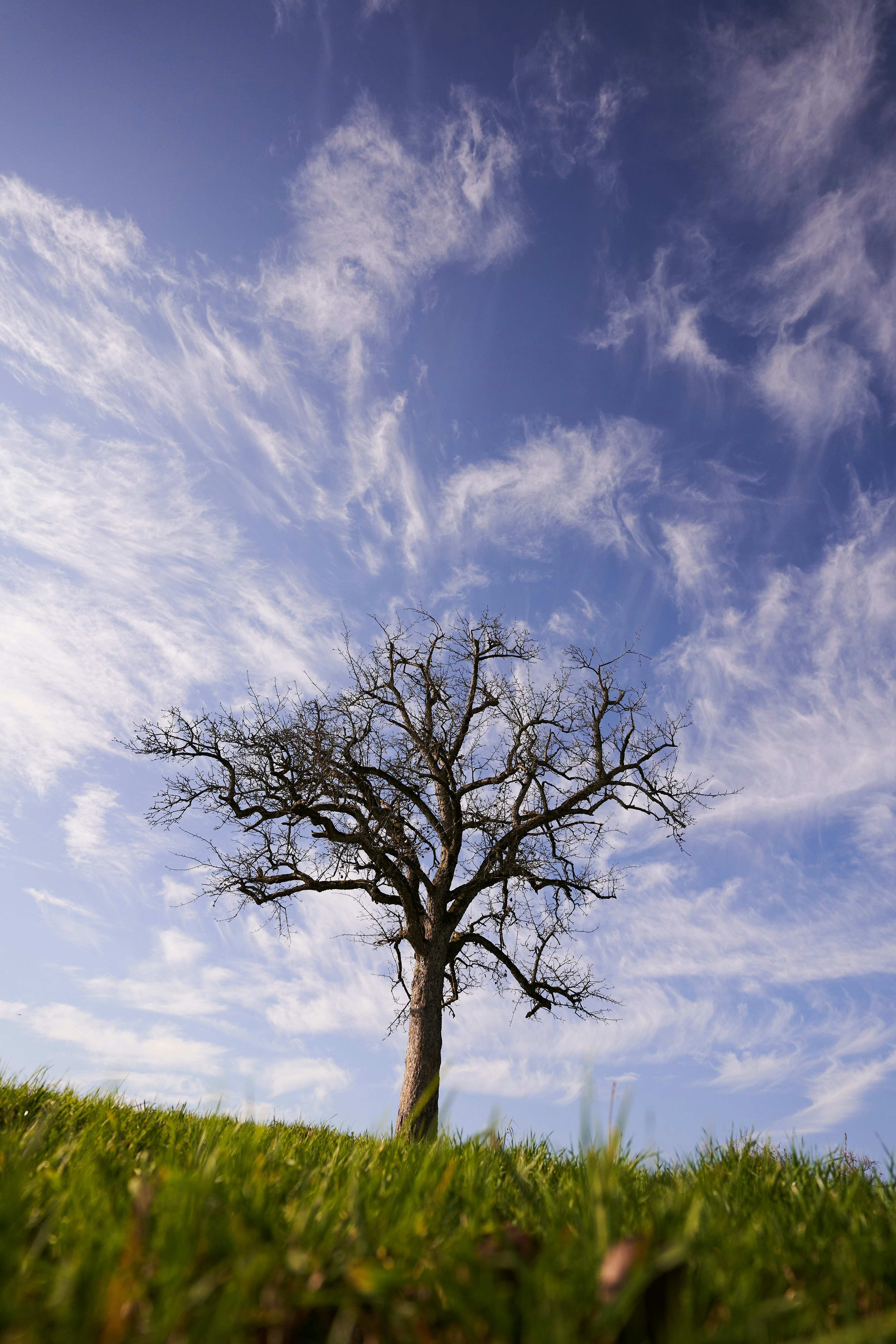 Photo by wolfgang_hasselmann