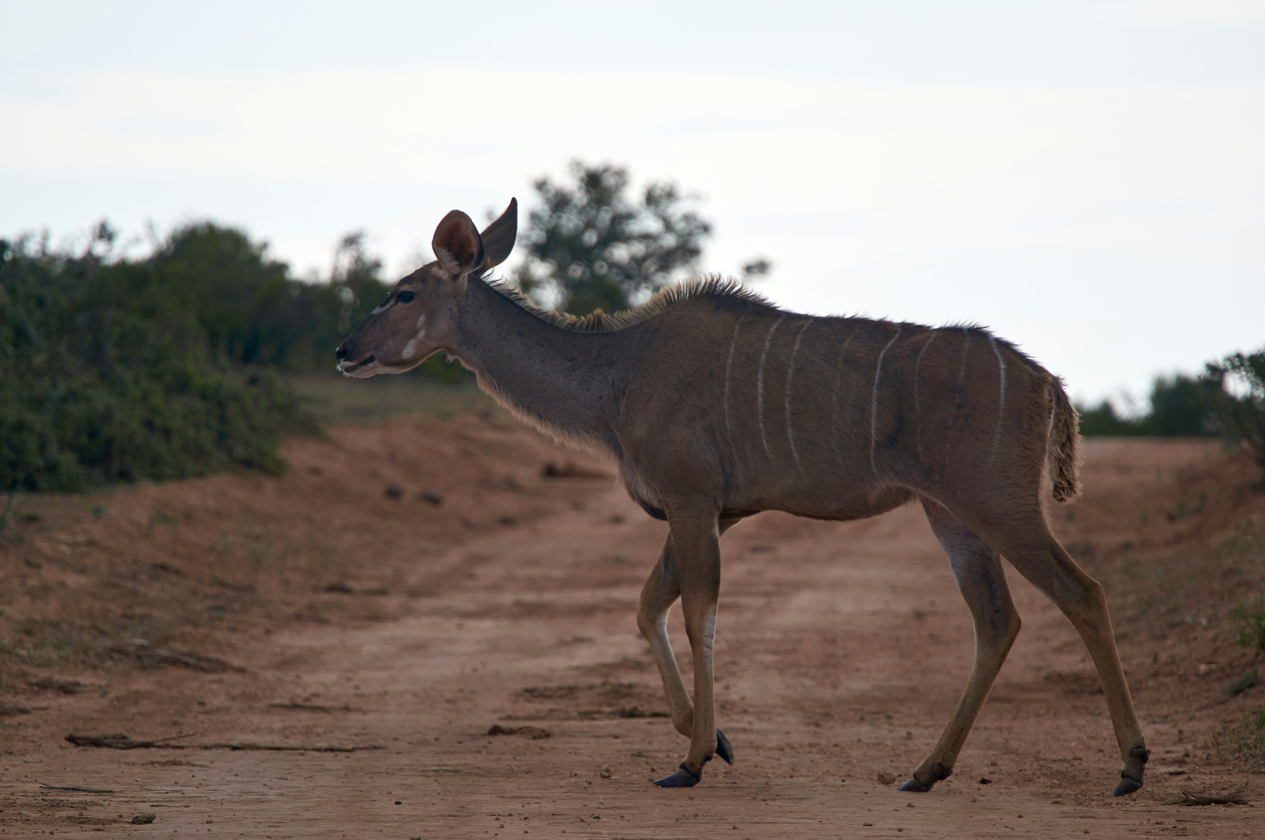 Photo by wolfgang_hasselmann