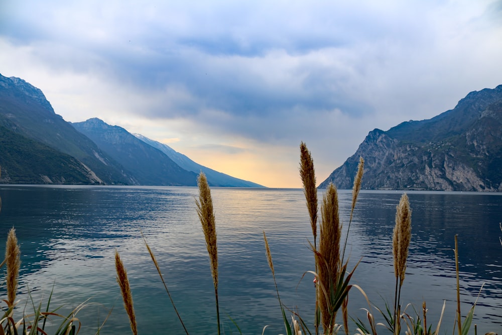 a body of water with mountains in the background